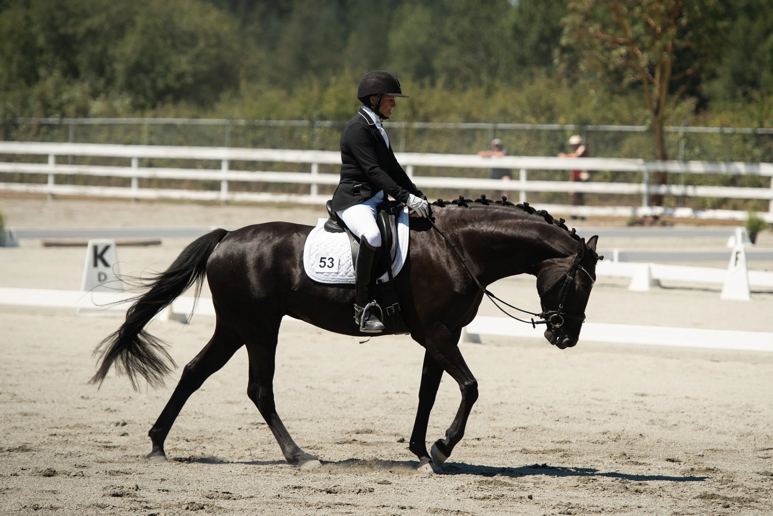 Horse 53-18.JPG