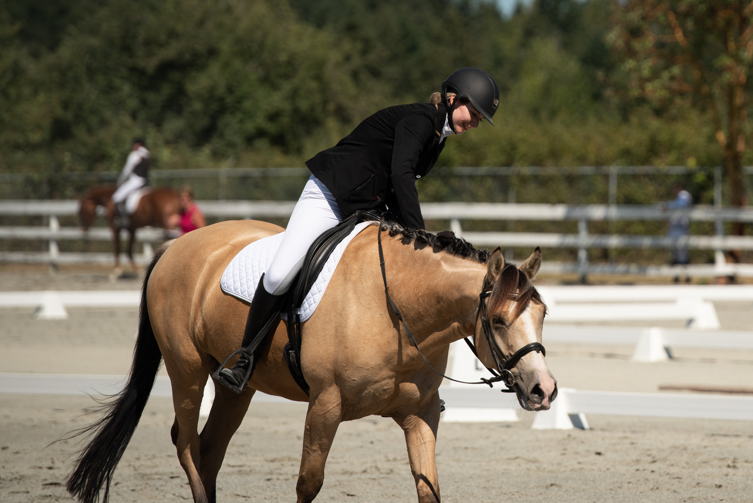Horse 54-15.JPG