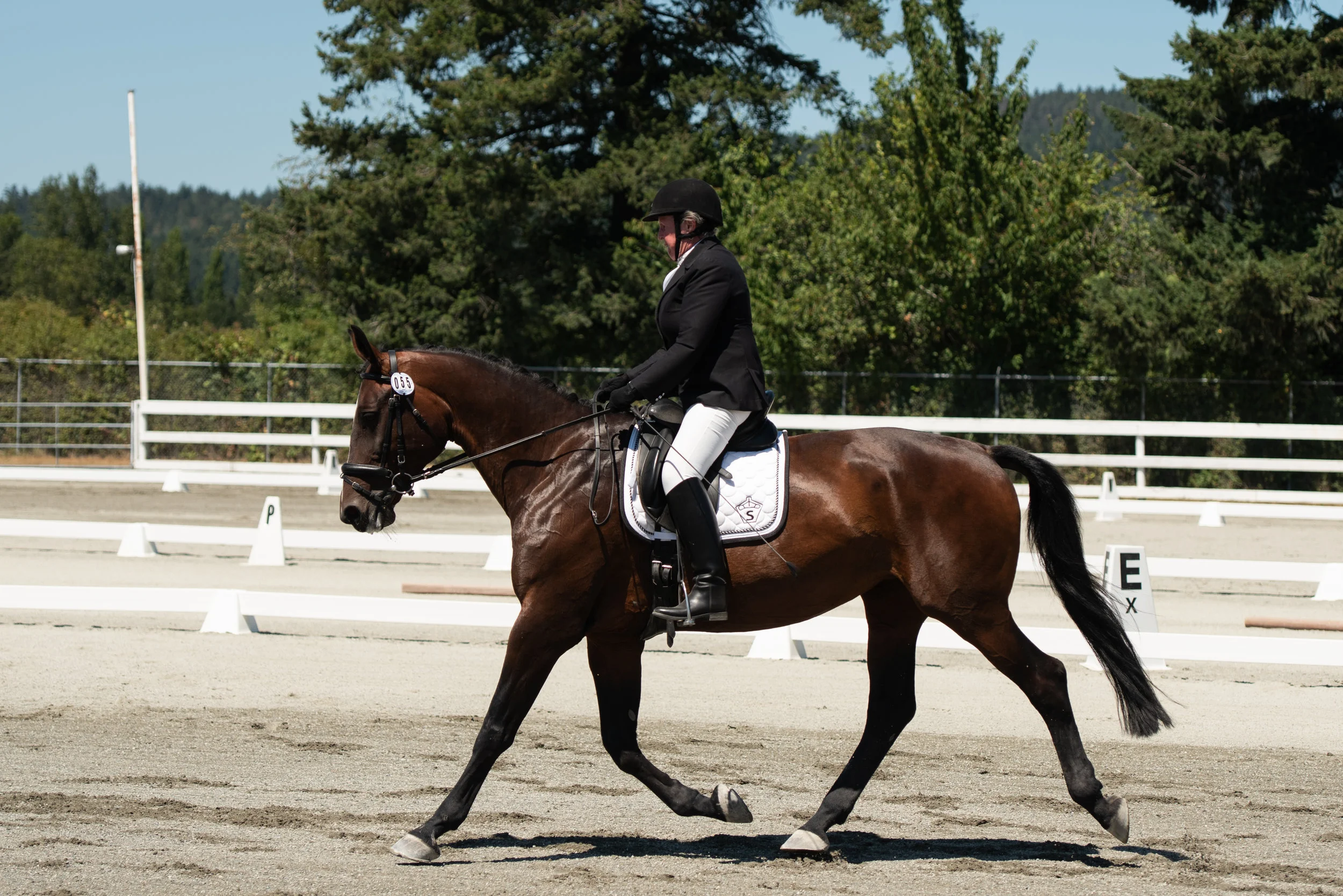Horse 55-5.JPG