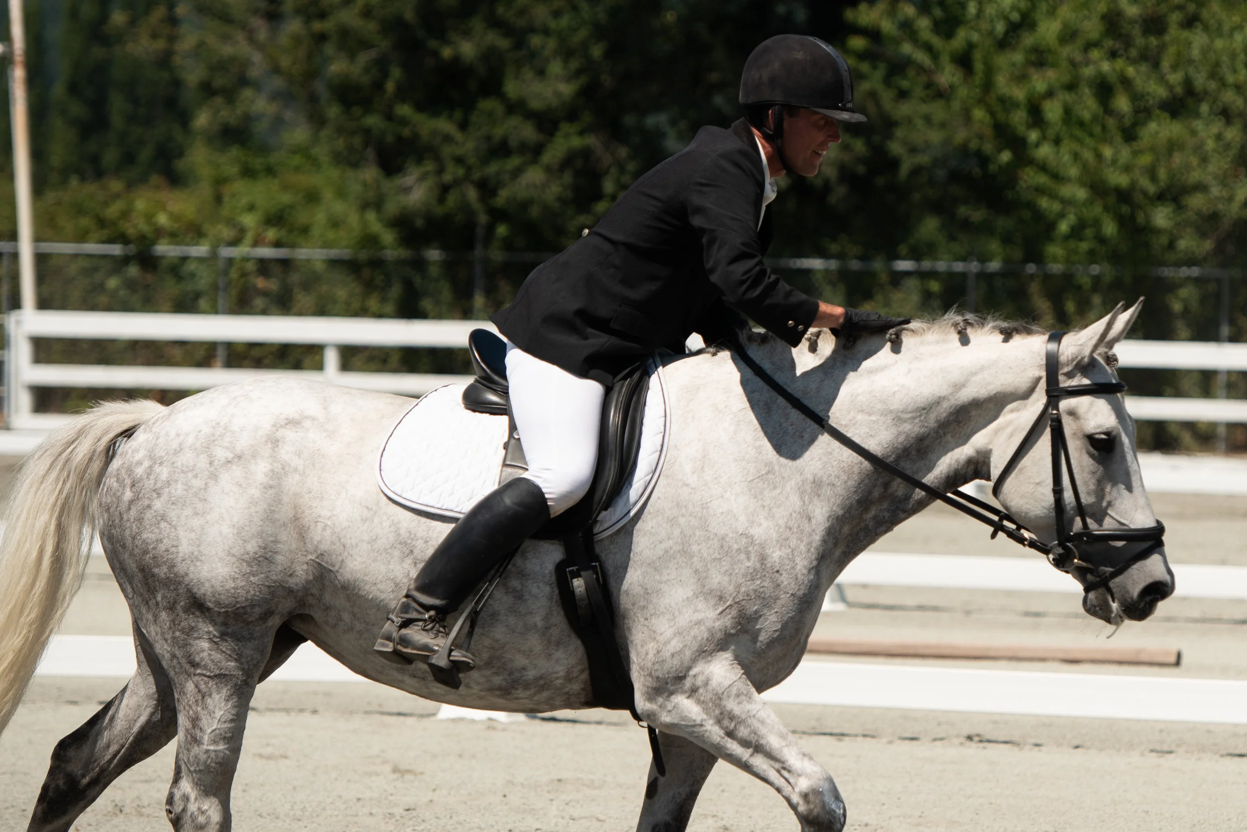 Horse 57-11.JPG