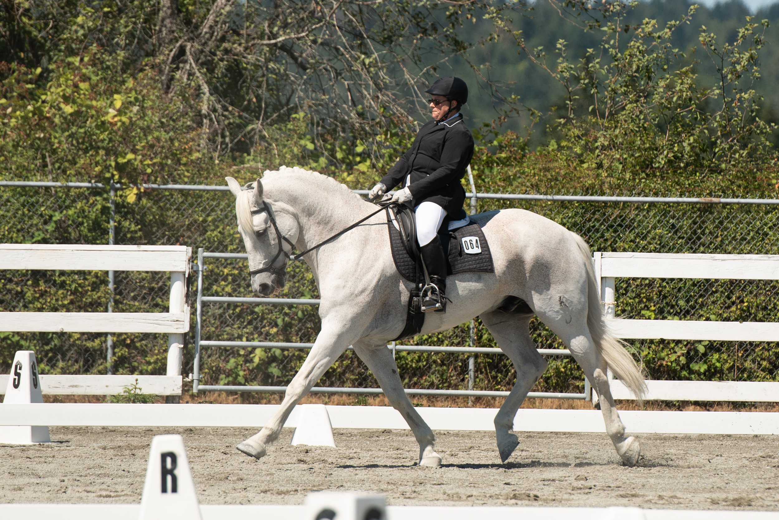 Horse 64-10.JPG