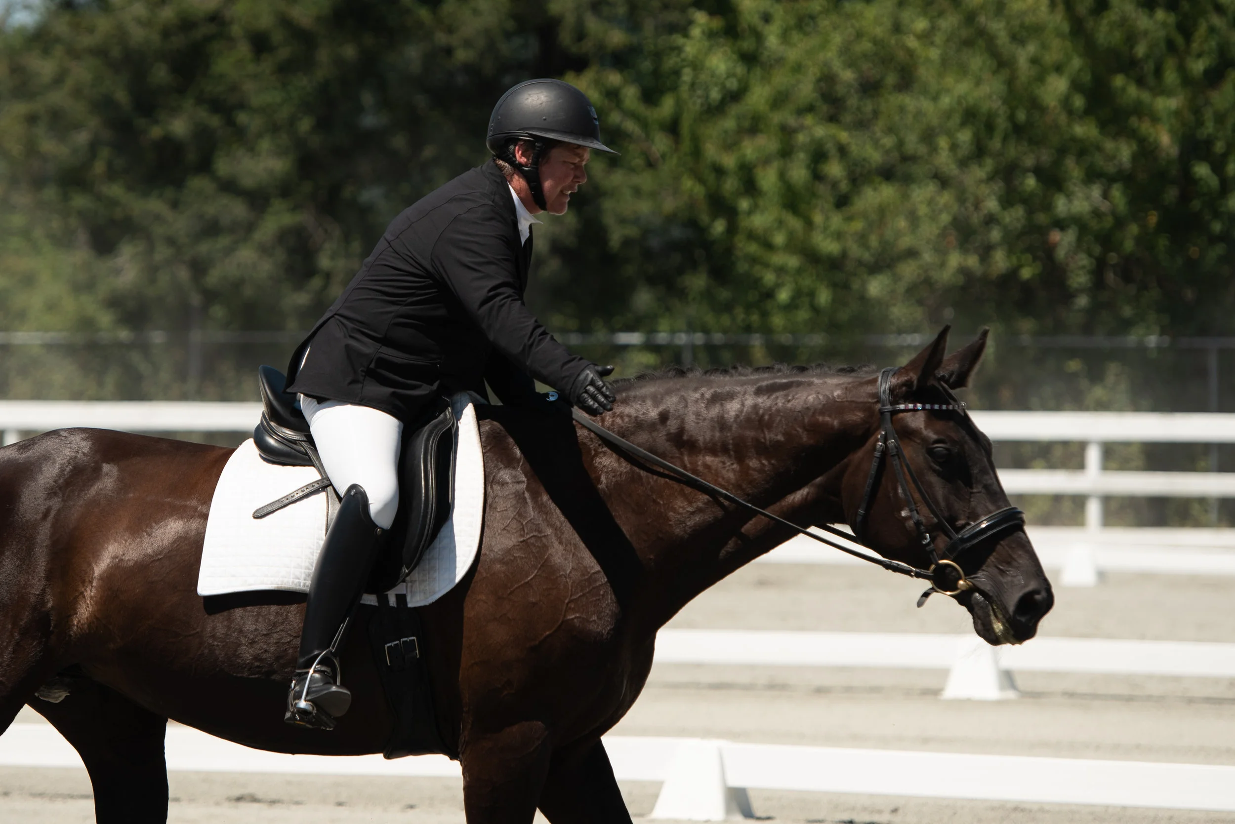 Horse 69-6.JPG