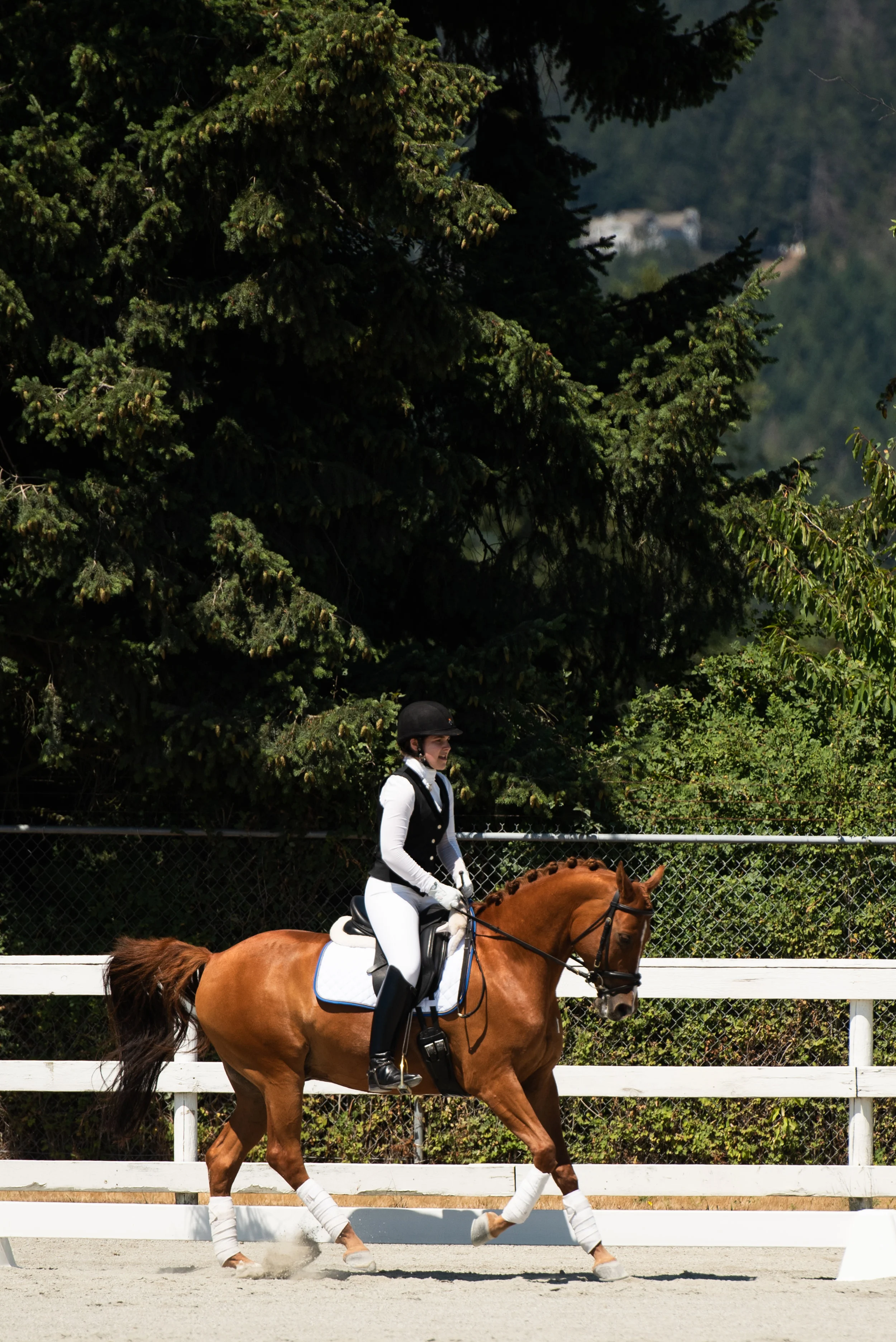 Horse 70-19.JPG