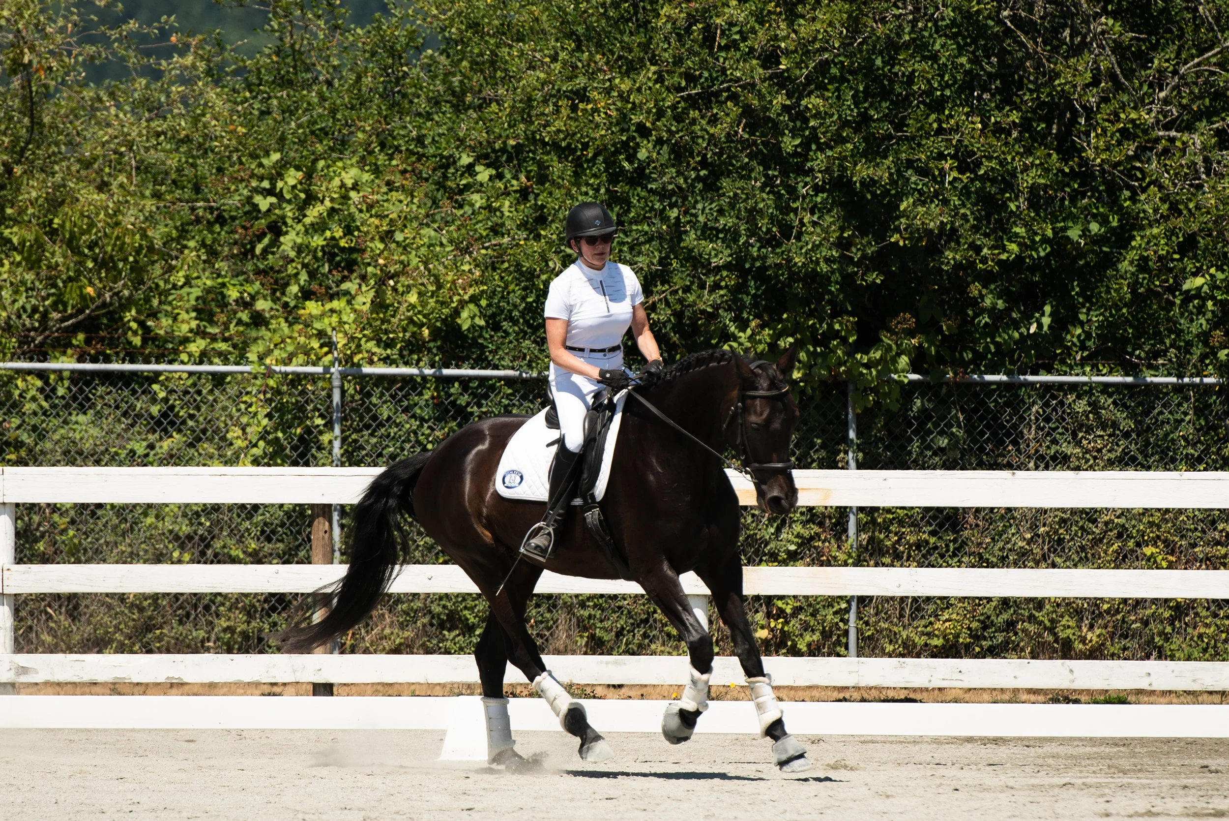 Horse 71-14.JPG
