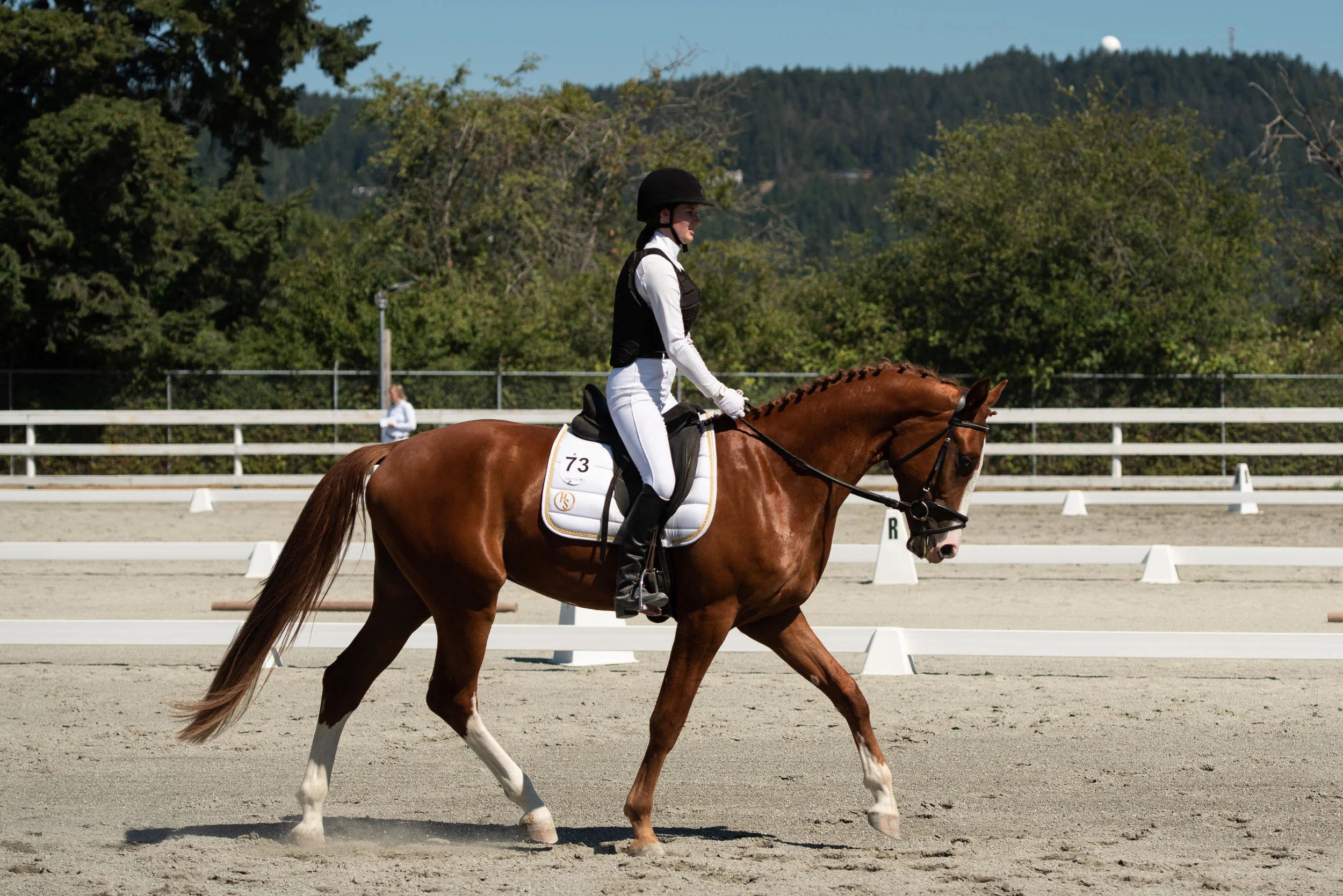 Horse 73-4.JPG