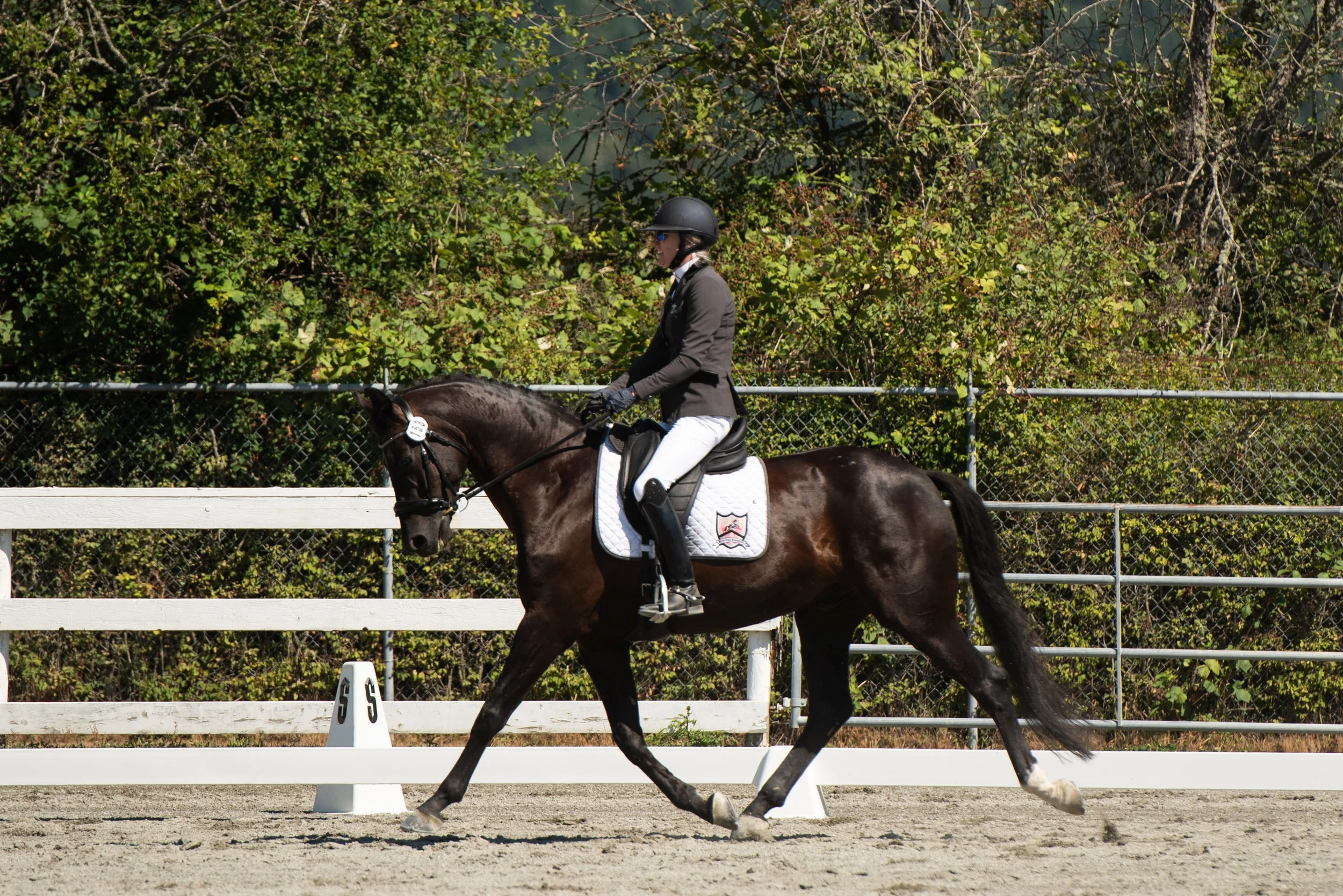 Horse 153-3.JPG
