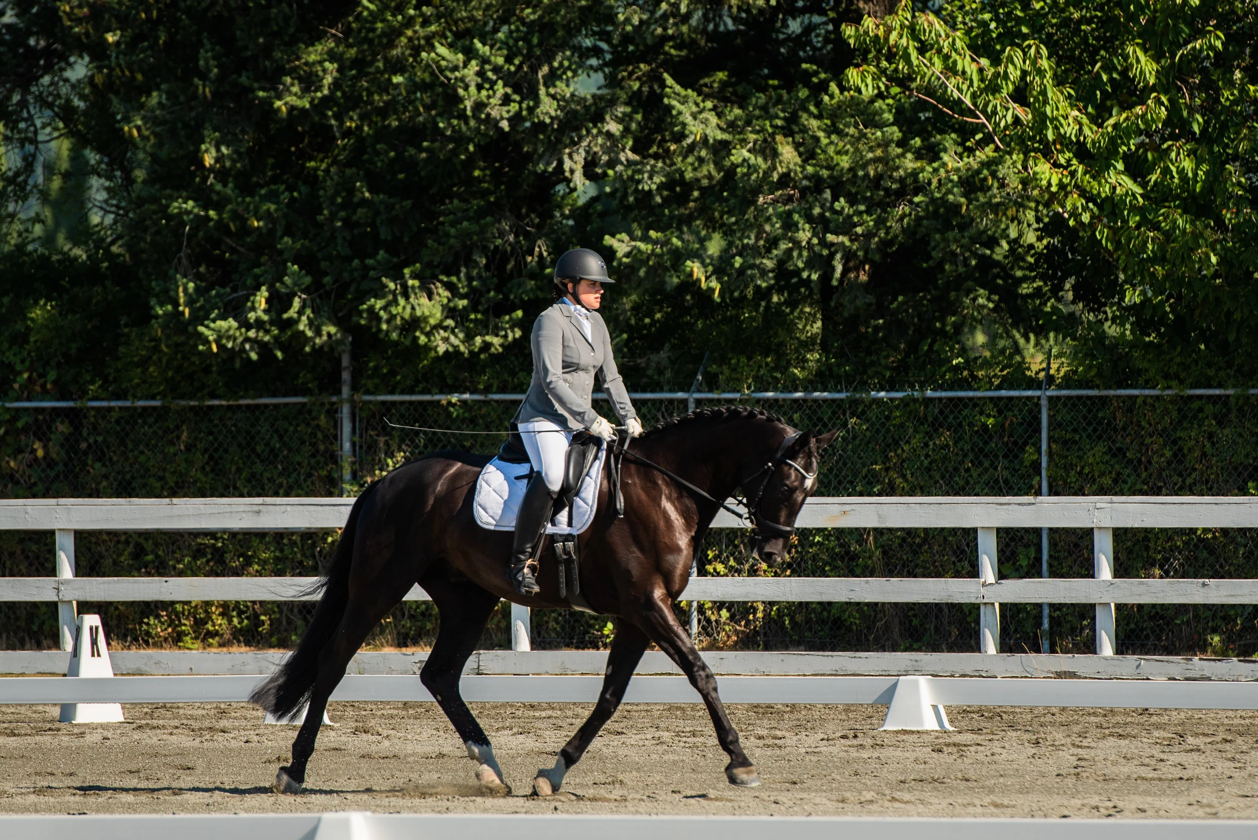 Horse 157-8.JPG