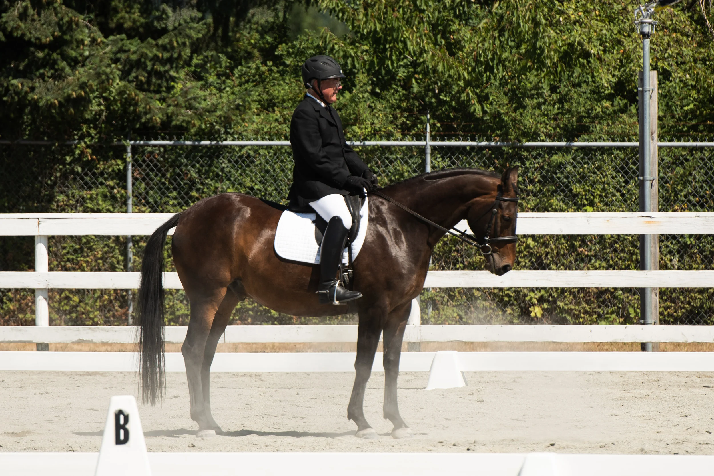 Horse 182-5.JPG