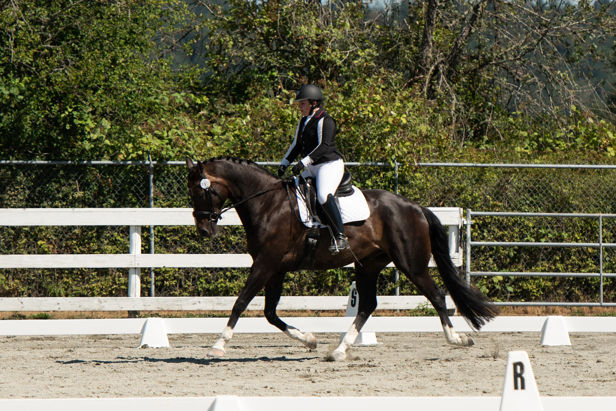 Horse 187-9.JPG