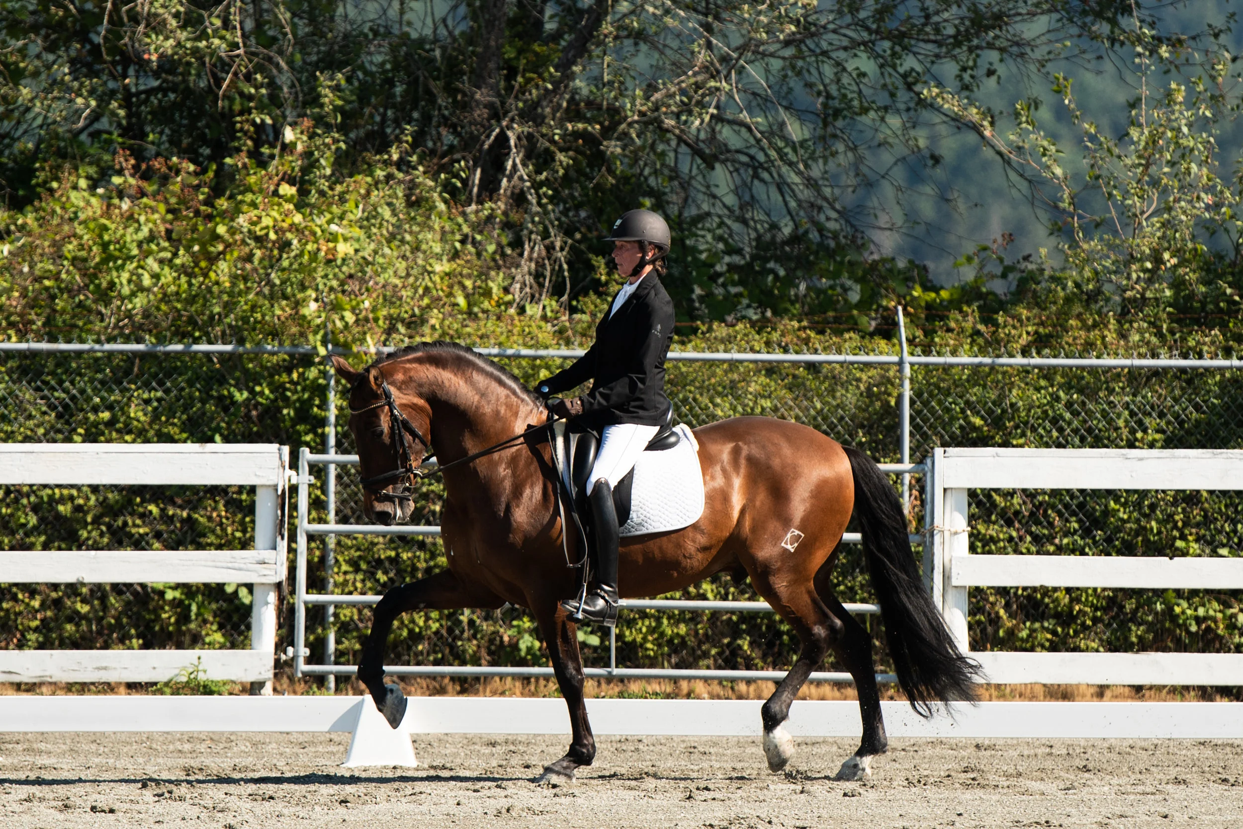 Horse 190-4.JPG