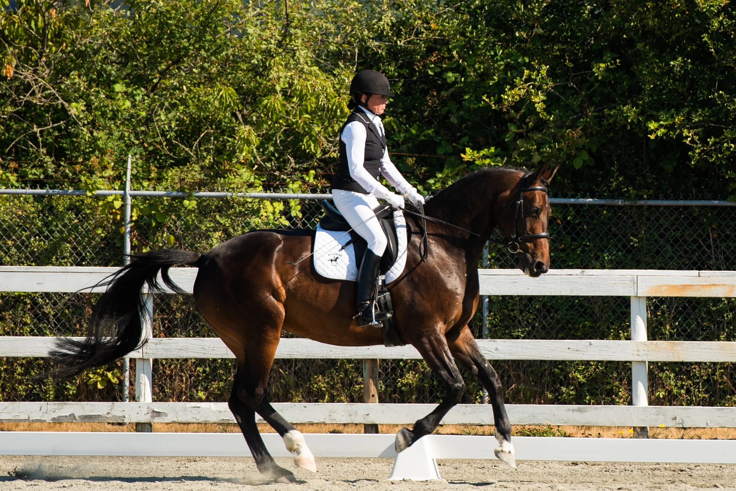 Horse 192-9.JPG