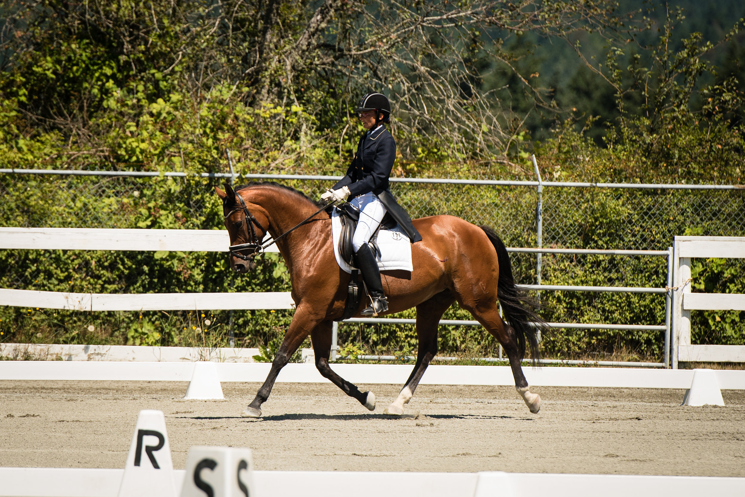 Horse #191-3.JPG
