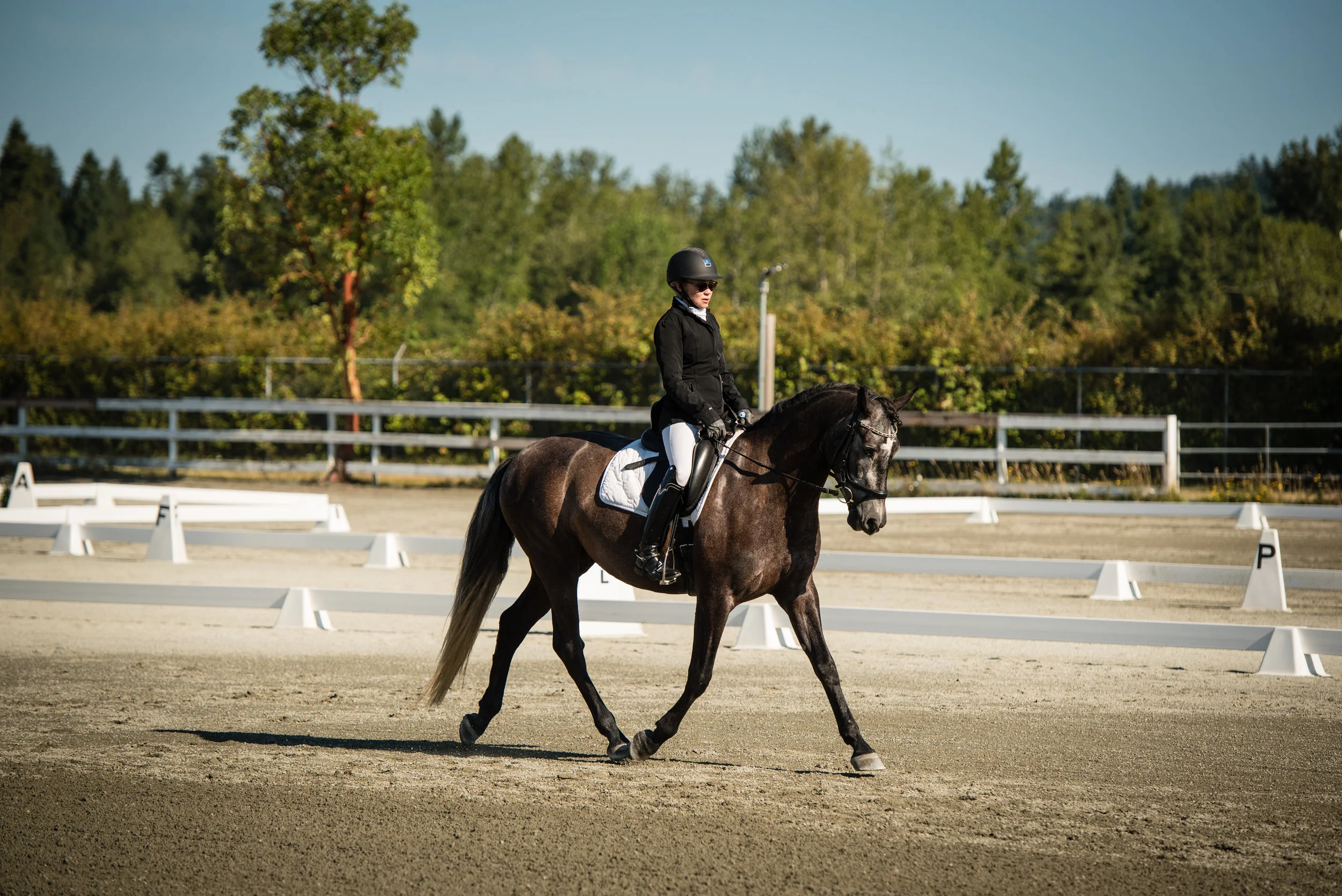 Horse #196-10.JPG