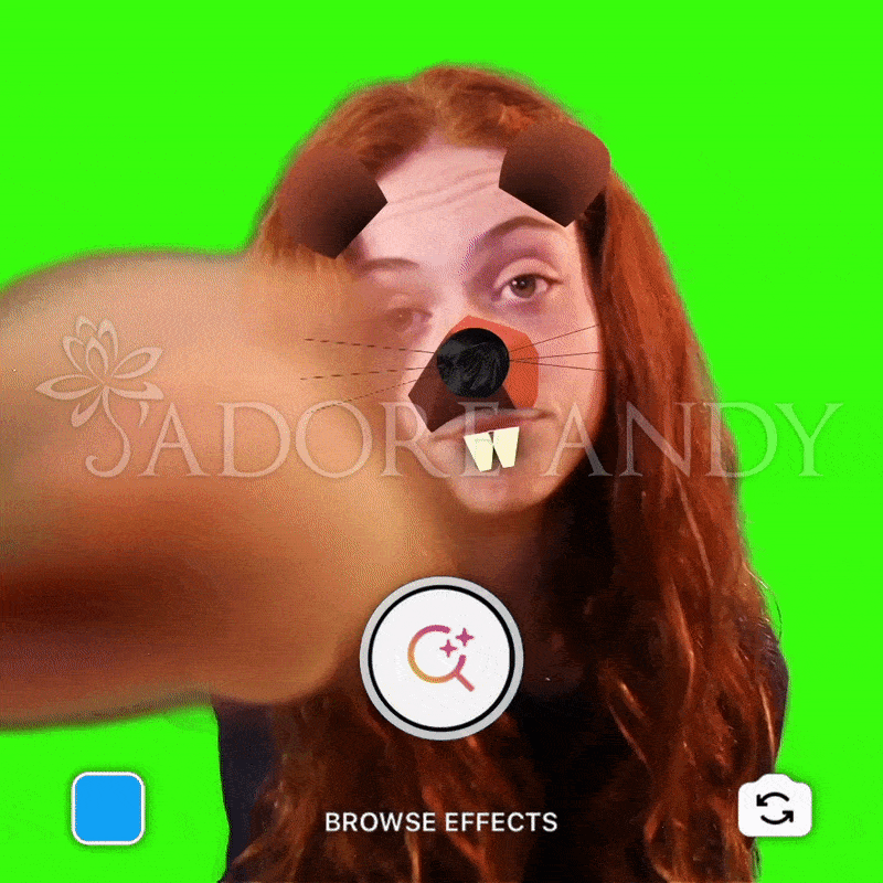 Virtual Photo Booth for Instagram Stories & Facebook Camera With Custom AR Effects Lenses Filters