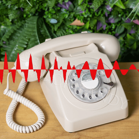Audio Guestbook Voicemail Phone Rental - J'adore Andy