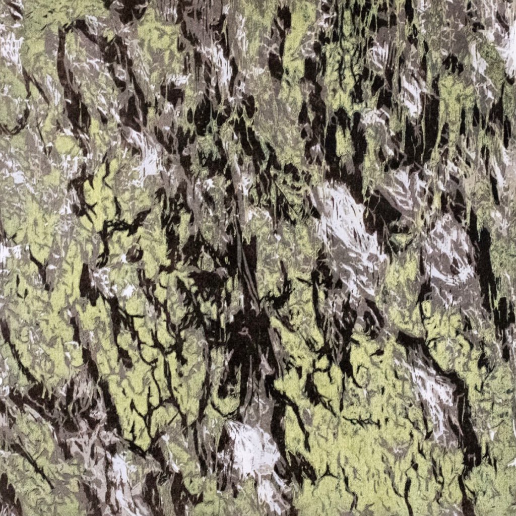 Bark Study