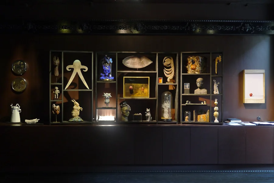 CabinetDaEnd07_vue01.jpg