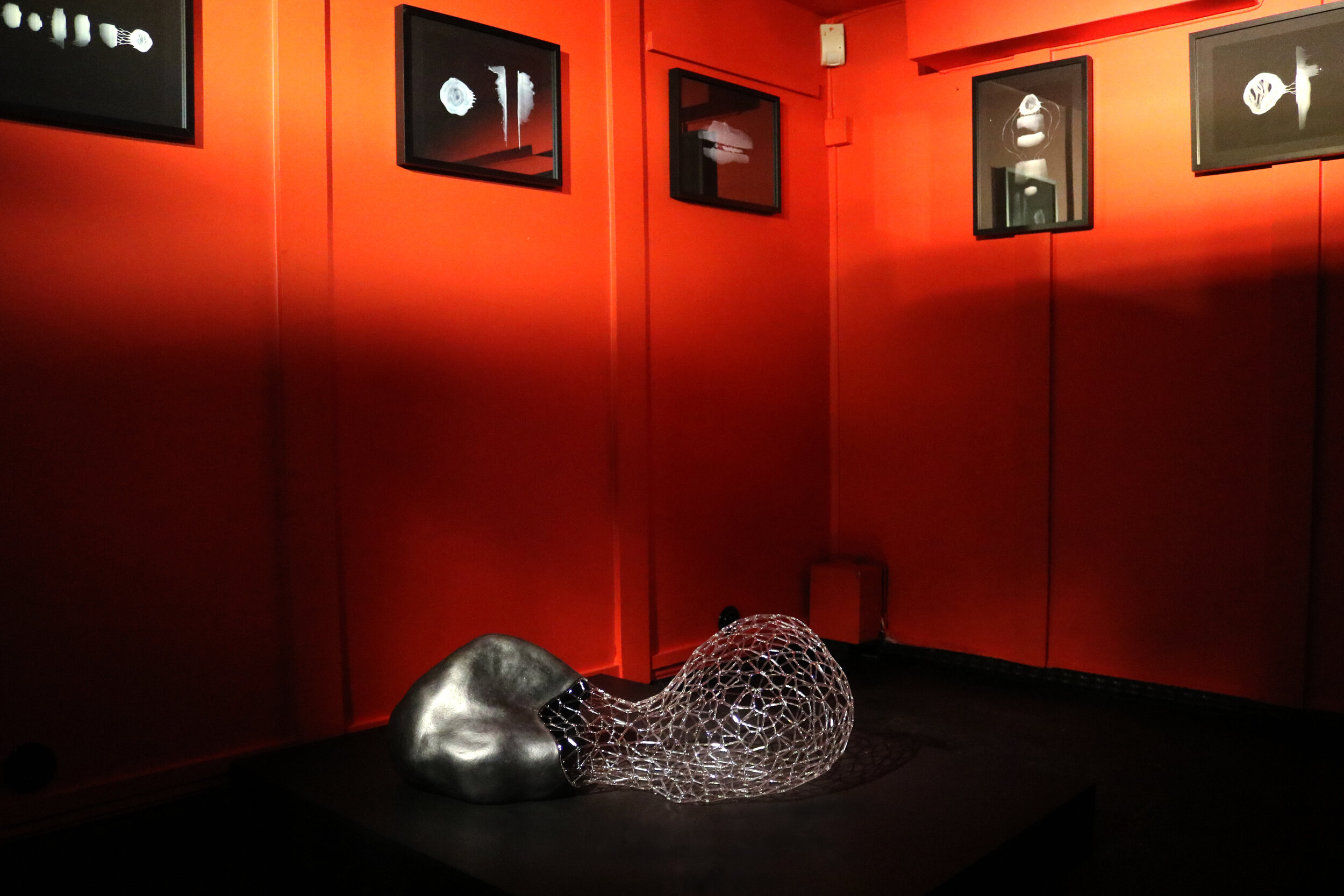 Vue d'exposition, Le Prologue de la Matière, Kim KototamaLune, Courtesy de l'artiste et de la Galerie Da-End, 2020-11.JPG