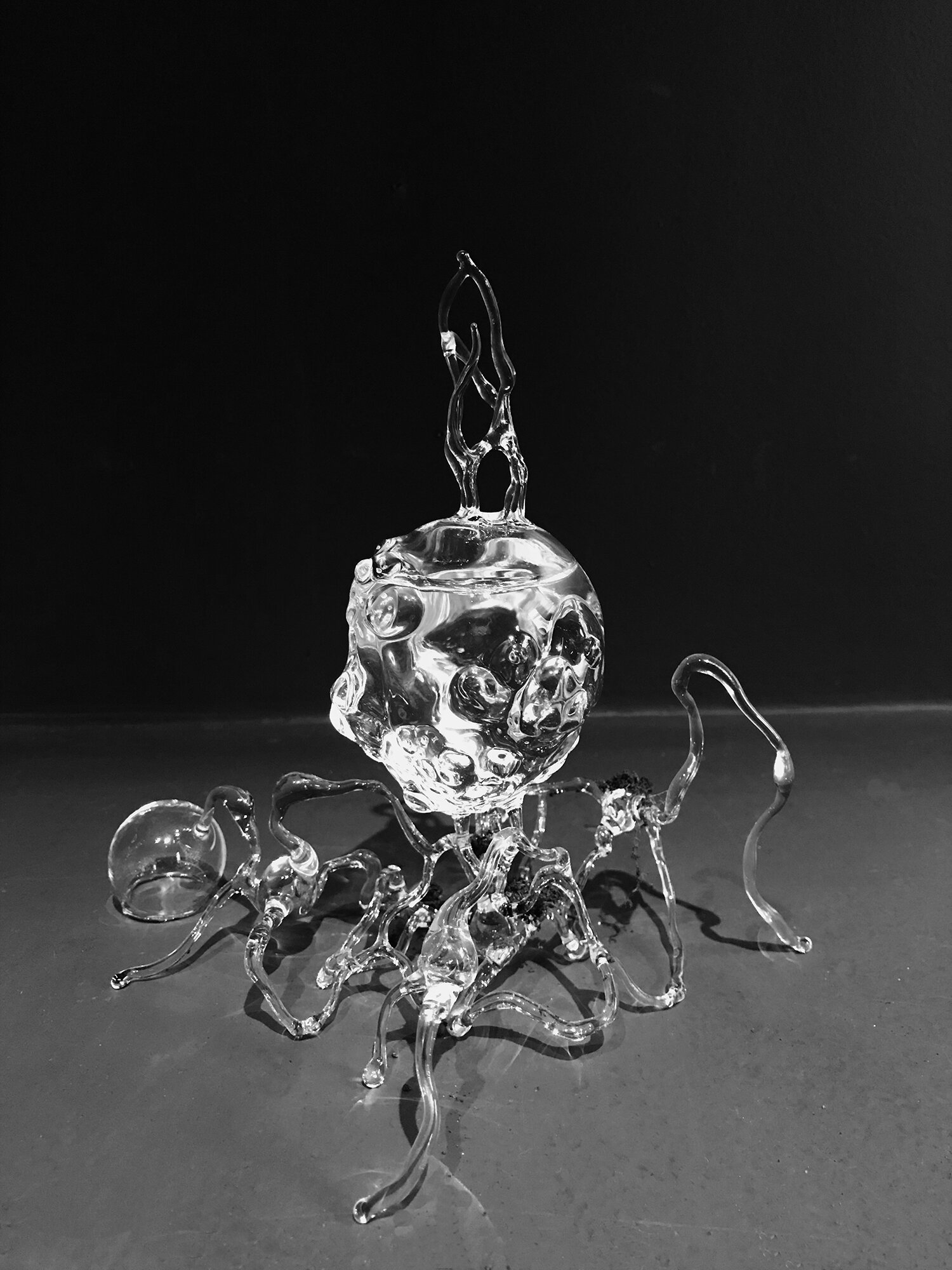 Micro-organisme #33, Kim KototamaLune, Verre filé, verre soufflé, 20 x 20 cm. 2019.jpg