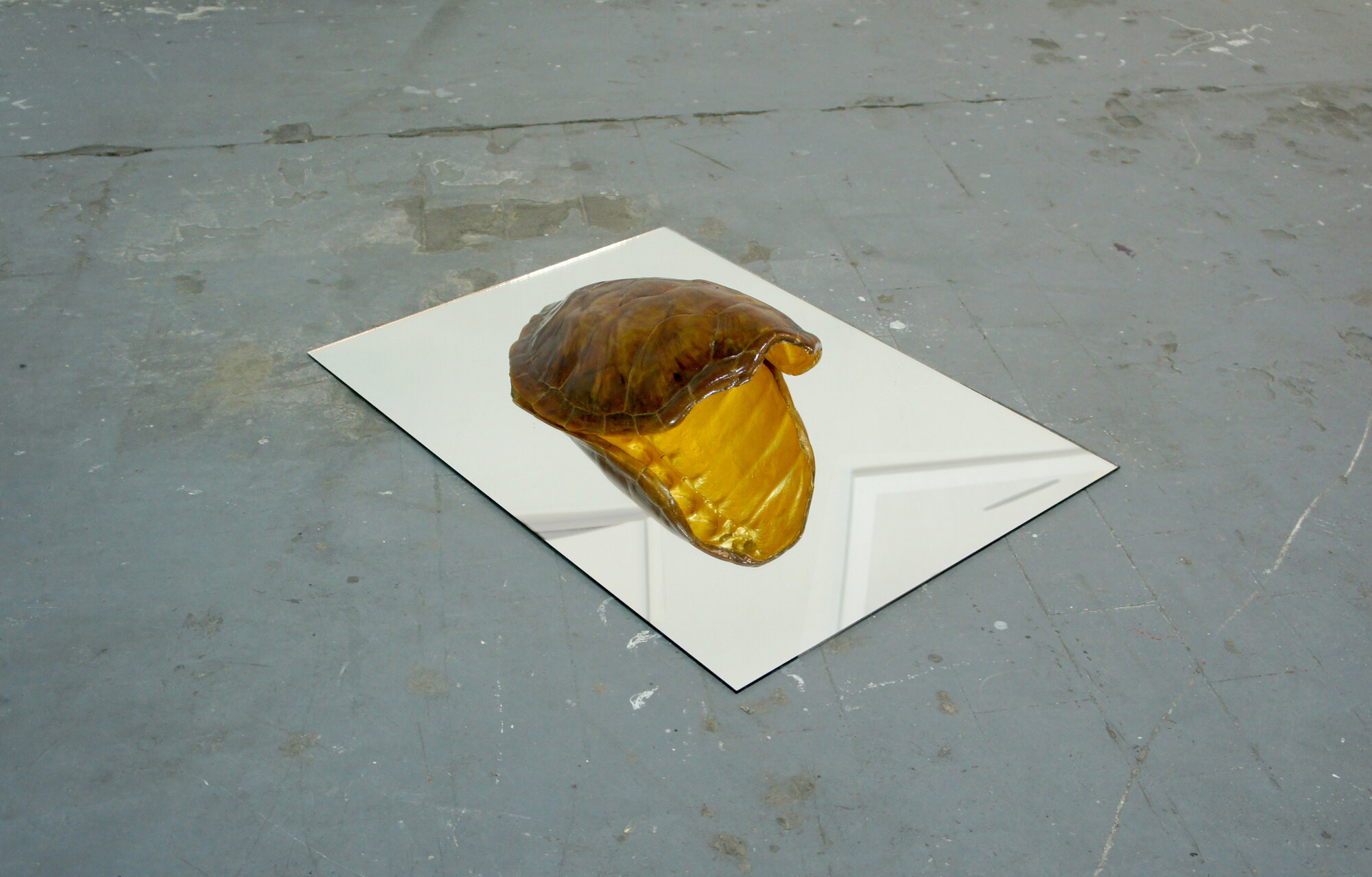 Célia Nkala, LE COBRA, Carapace de tortue, dorure a la feuille 24 carats, miroir, 50 x 70 cm, 2017.jpg