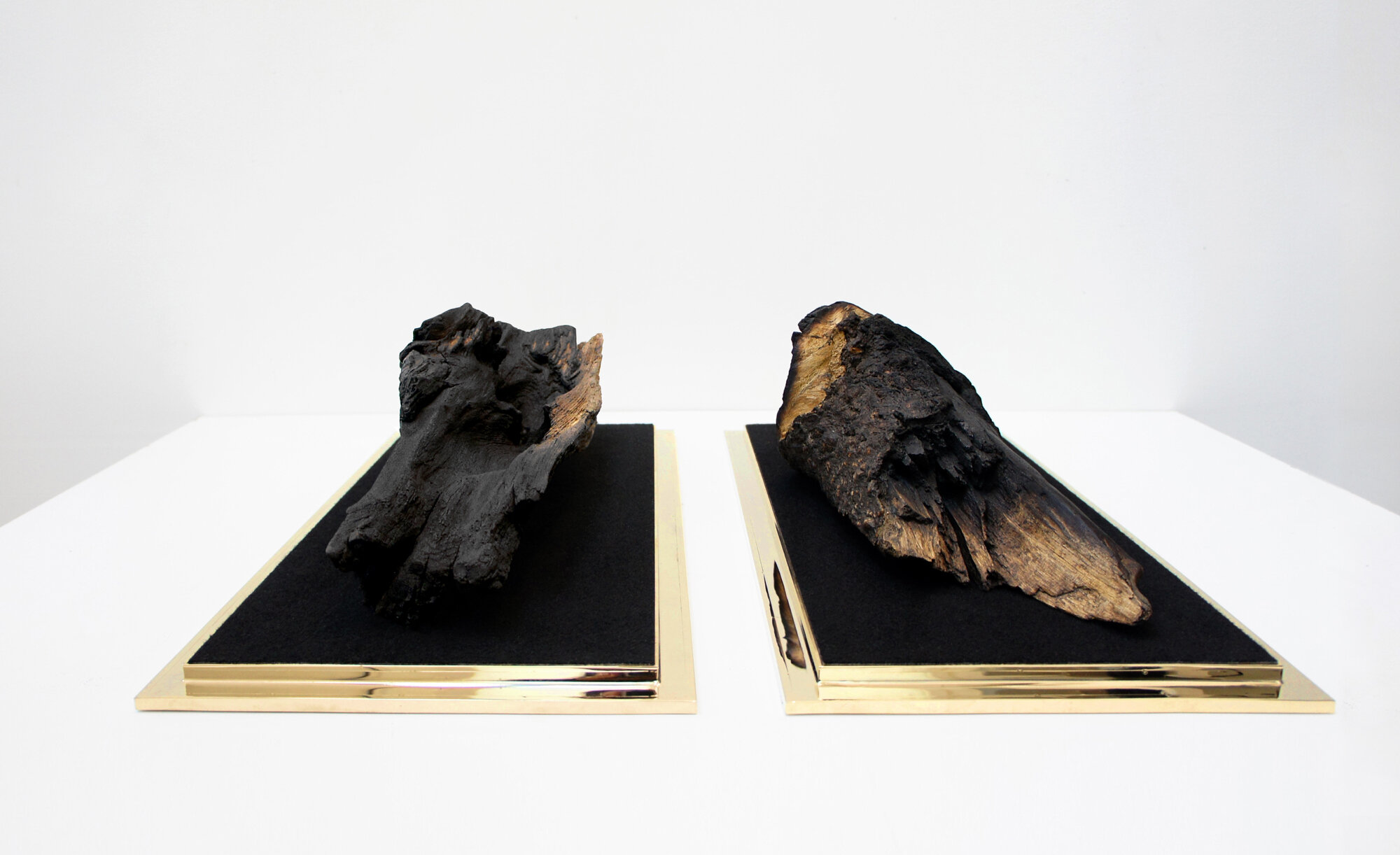 Célia Nkala, VESTIGES, fragments de bois issus de feux clandestins - dimensions variables, 2018.jpg