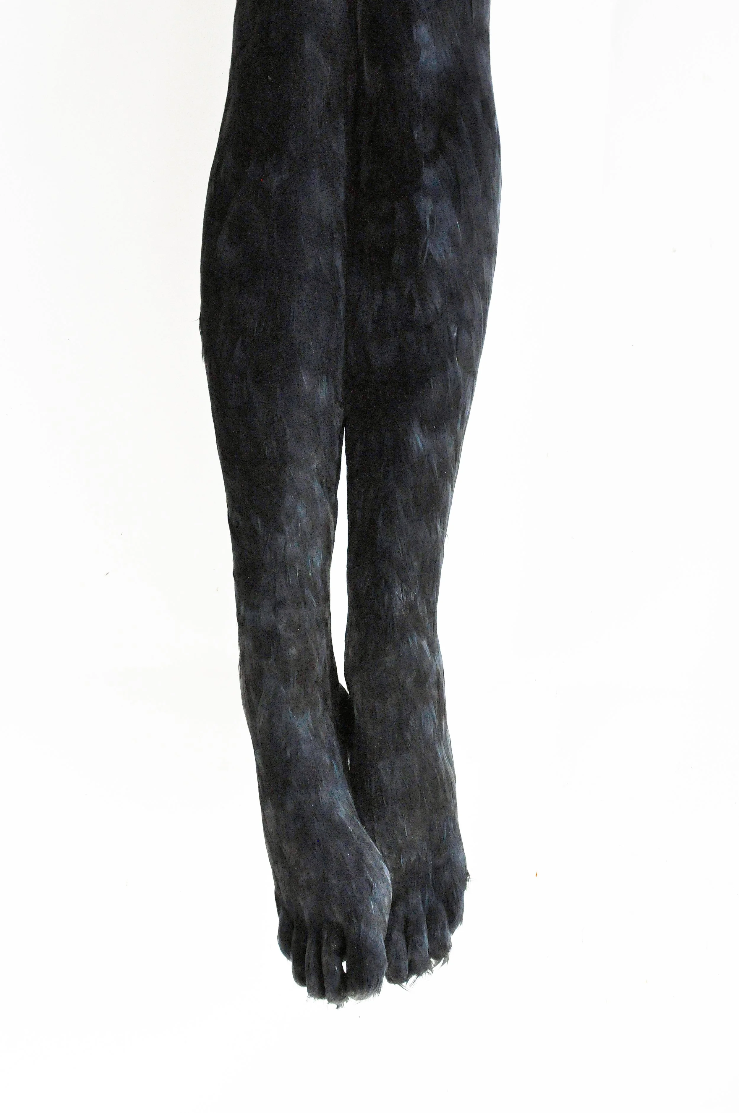 Lucy Glendinning, Your Waiting Legs, 22x138cm, b.jpeg