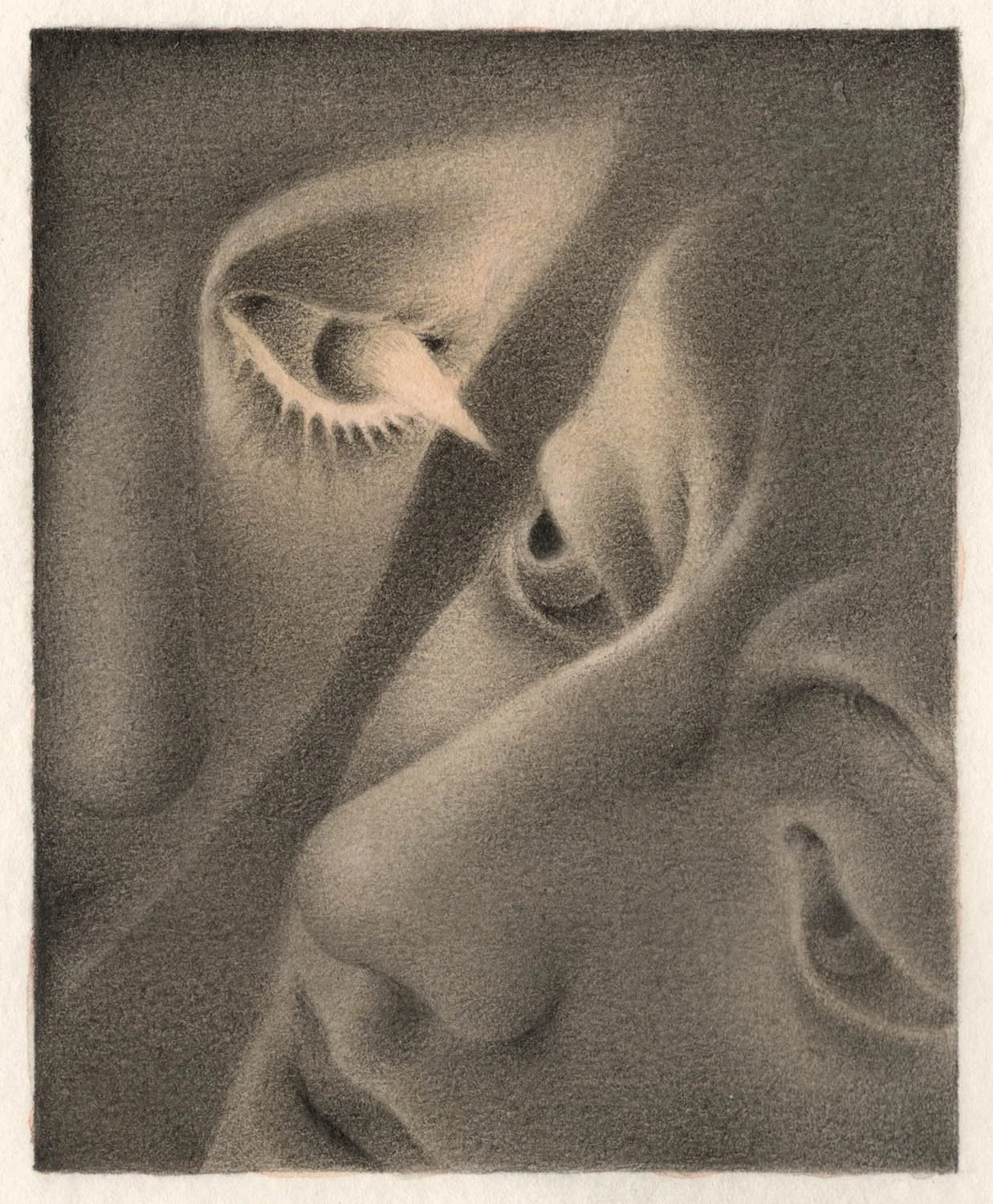 YYV 6,1 7,1.jpg