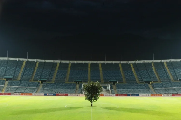 The Tree Memorial of a Concentration Camp by Sebastian Errazuriz 1(low).jpg