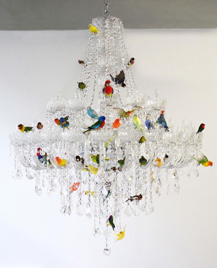 2013 Crystal chandelier and taxidermy birds h.62 in (157,5 cm) diam. 50 in (127 cm) Sebastian ErraZuriz's new Bird Chandelier presents a traditional crystal lamp covered with taxidermy birds. The 50 birds attempt to balance the presence of the shiny crystals with their multicolored feathers. Almost as fragile and delicate as the glass pieces themselves the birds are immortalized as decoration offering a cold and eerie beauty. The Bird Chandelier was inspired by a similar lamp at Sebastian's grandmother's house which would occasionally have birds fly in through the windows, perch on the lamp and at times unfortunately be injured or die when trying to fly out through a different closed window.