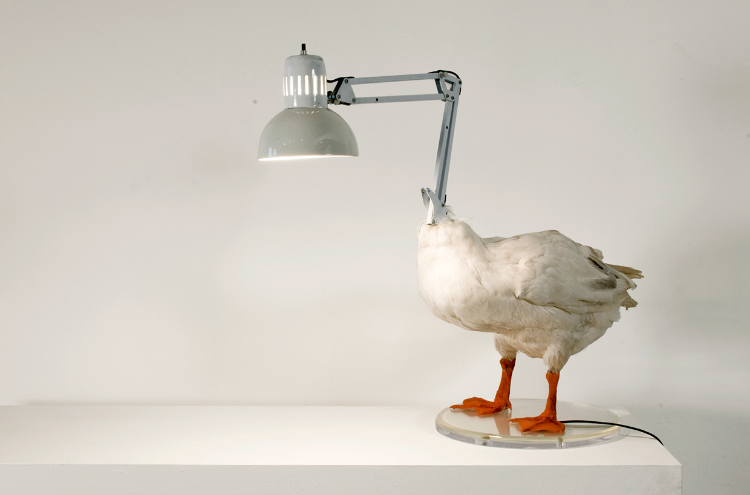 2004 Taxidermy goose, metal, acrylic paint, resin and lamp 20 x 23-1/2 x 15-3/4 in ( 50,8 x 59,7 x 39,4 cm) Rescued from the trashcan of an old taxidermy museum, the taxidermy bird with a broken neck get’s given a new life as and reconstructed to become an iconic classic. The Duck Lamp by New York based artist and designer Sebastian ErraZuriz is an eerie, yet funny and beautiful object that explores the borders between sculptural and functional of both art and design.