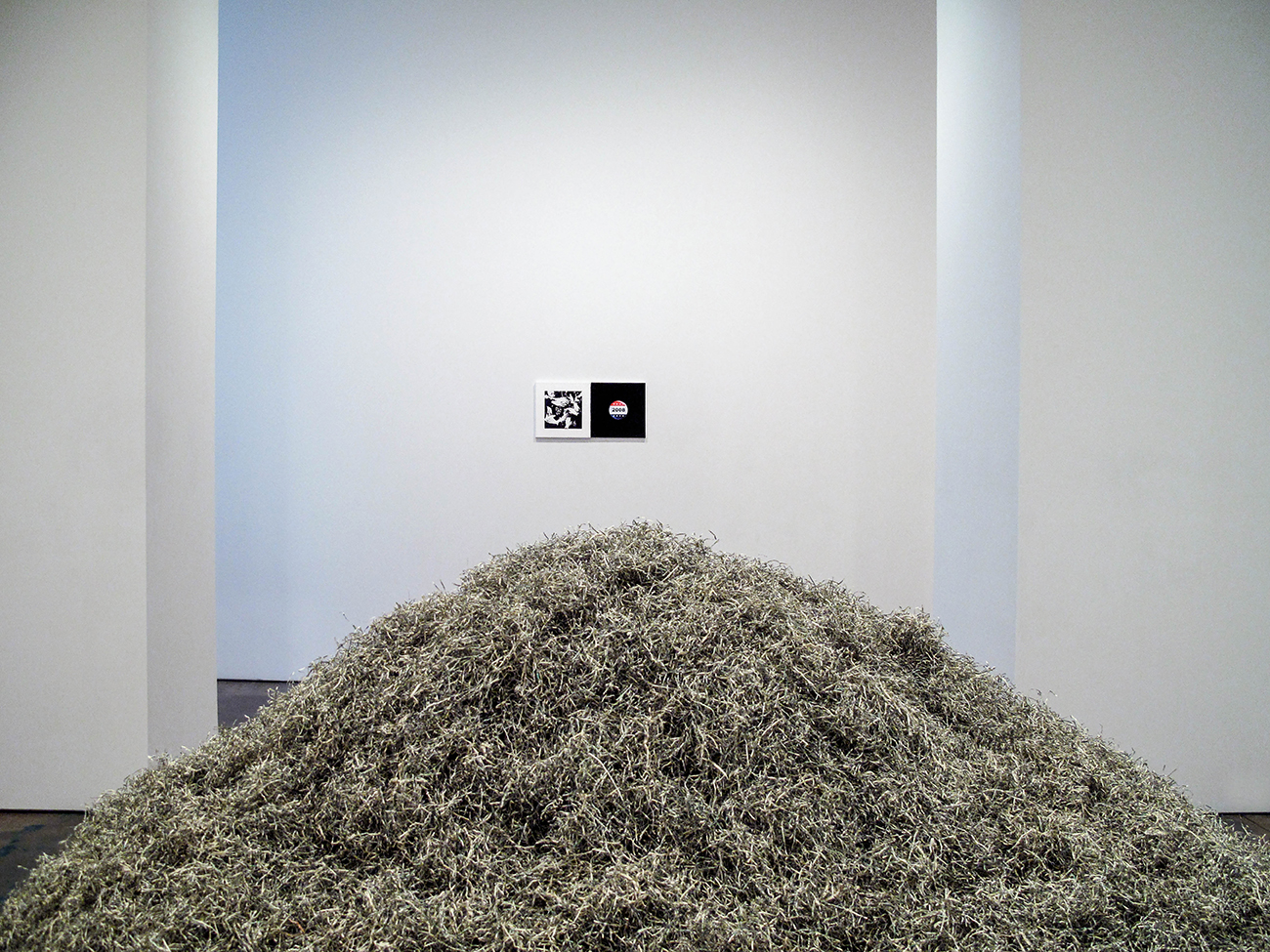 2009 One million dollars of shredded currency was used as the medium for a series of 10 sculptures by Sebastian ErraZuriz and Thomas McDonell. Each of the 10 sculptures was offered for sale after the New York exhibition, at the price of 100,000 dollars per sculpture. ErraZuriz and McDonell purchased the shredded bills from the United States Bureau of Printing and Engraving, and created the work after forming a partnership and entering into a contract that guaranteed appropriate distribution of all income derived from the Million Dollar Project. The sales from the sculptures were intended to allow the artists to recover the hundreds of thousands of dollars invested in their art education and to palliate future unemployment. The United States Treasury Department, by way of the Bureau of Printing and Engraving, stipulates that currency residue cannot be sold as “commercial art”. ErraZuriz and McDonell insist, however, on their right of expression with artistic purpose and further on their right to make a living from their art.