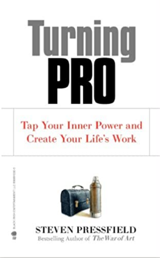Turning Pro Steven Pressfield Career Blocks Life Purpose Life Work Inner Purpose Self Love.png