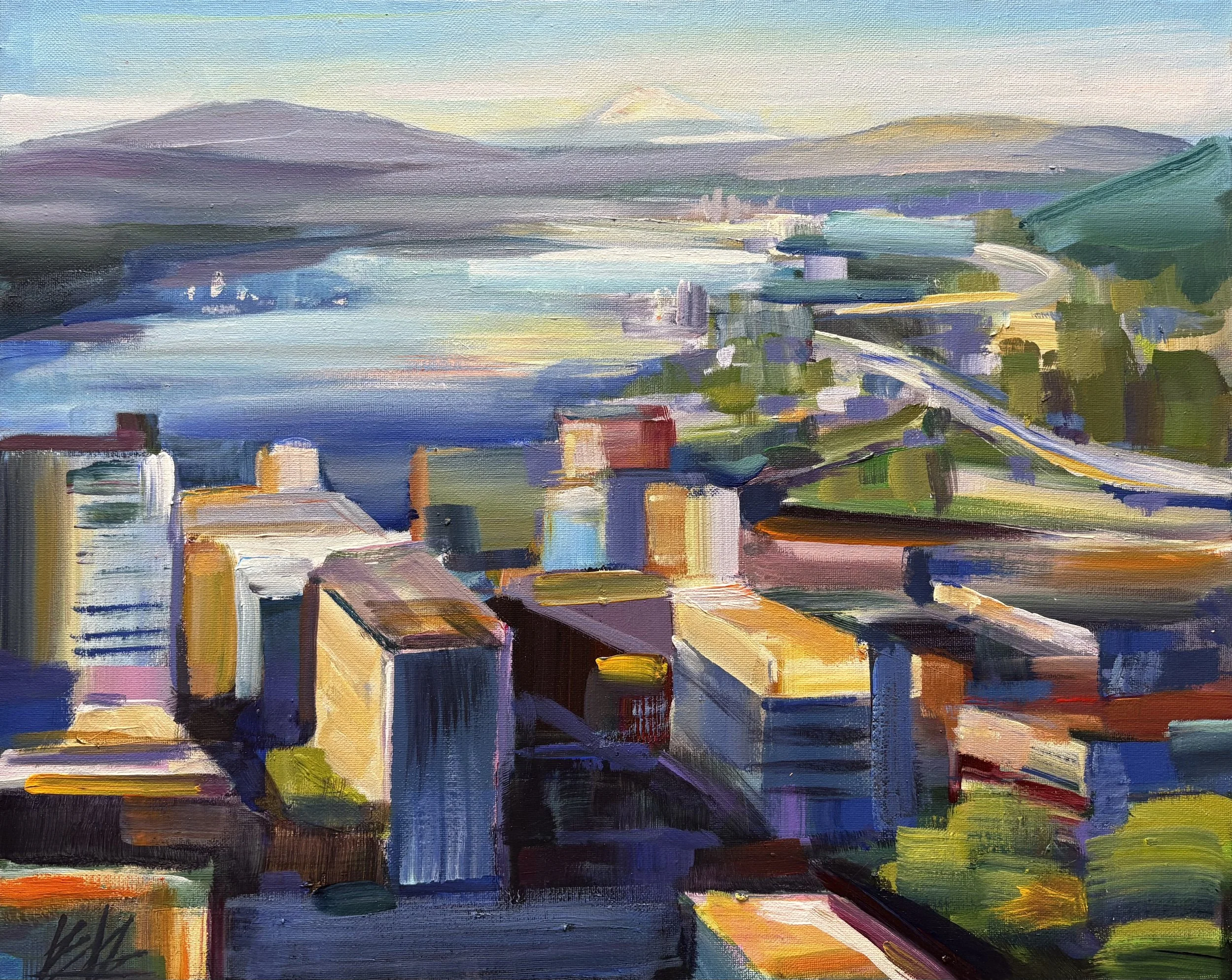 Bird's Eye View, 16x20 acrylic on 3/4" canvas unframed, $450