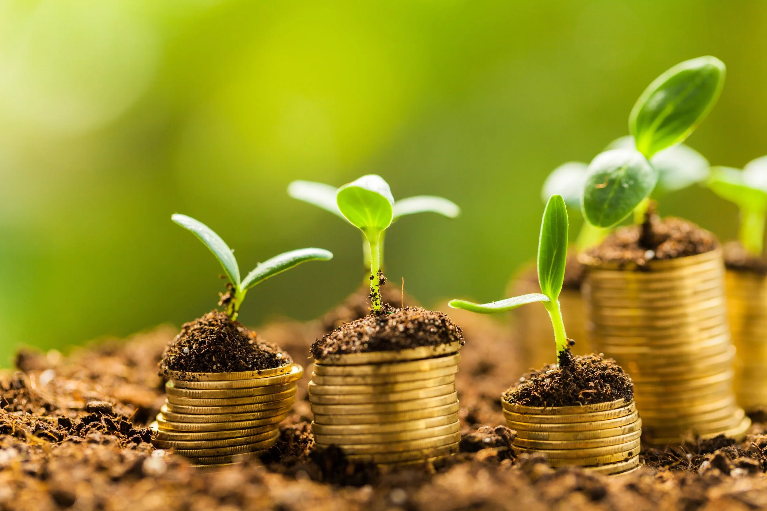 Cómo activar la energía del dinero