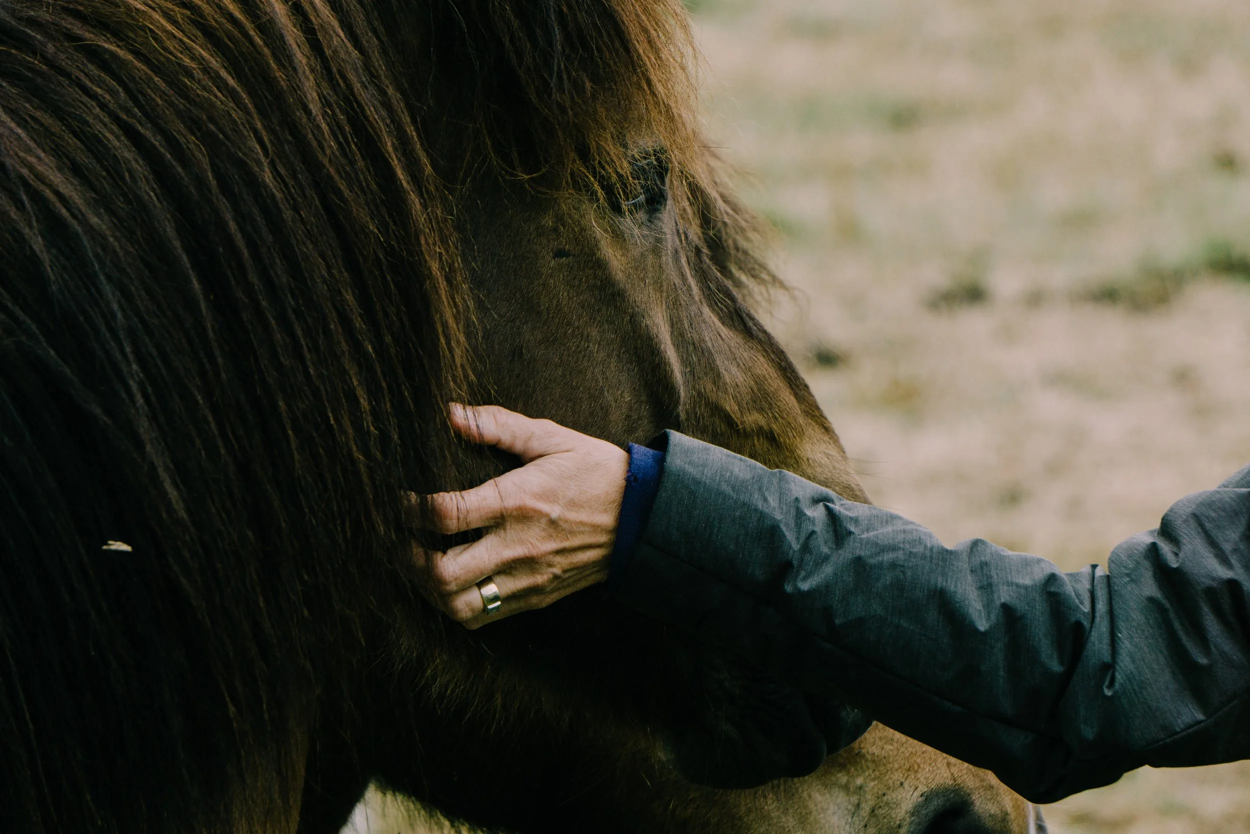 Fotografía Rex Pickar, para Unsplash