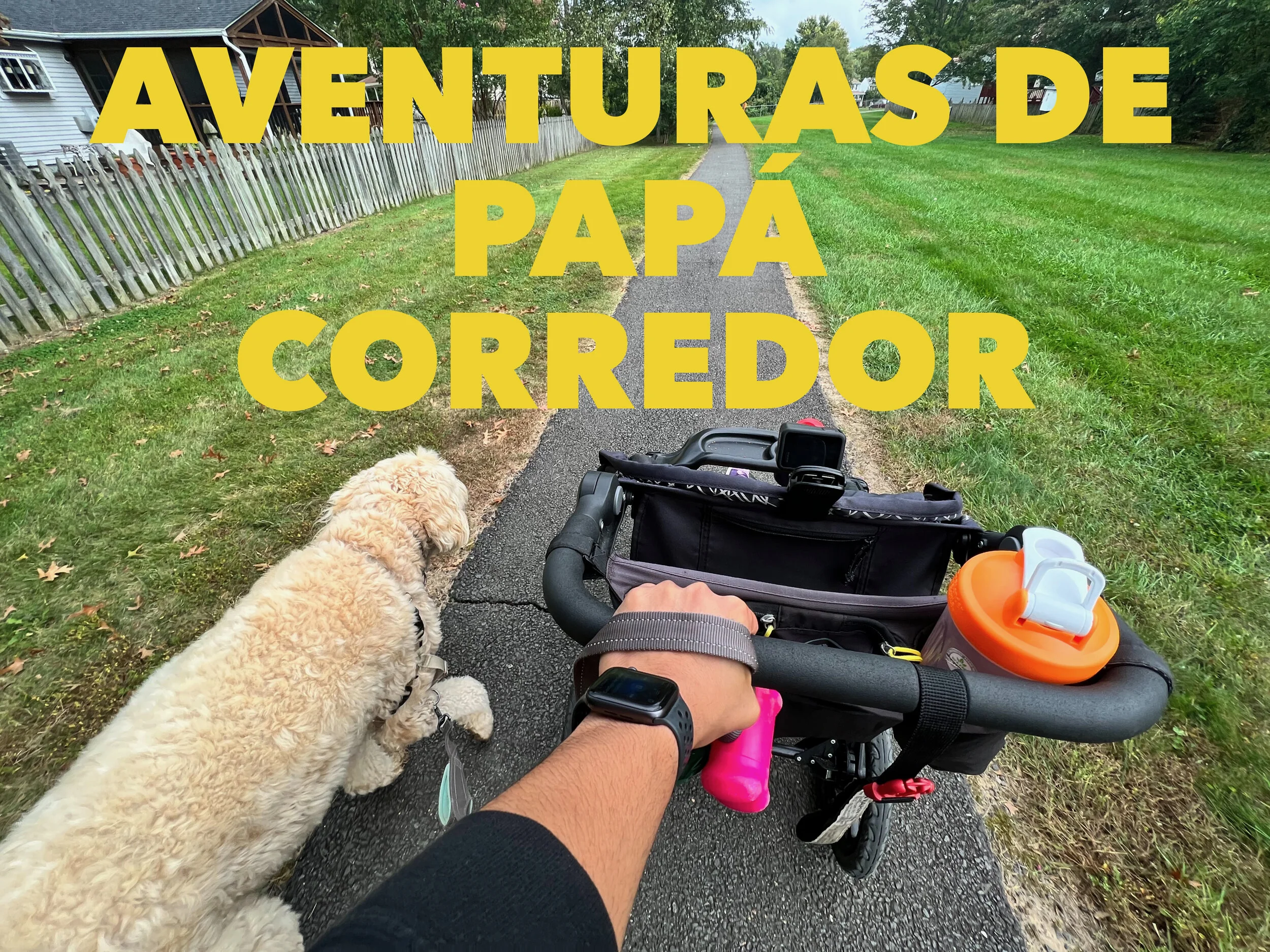 Cómo correr con bebé 👶🏻 y perro 🐶