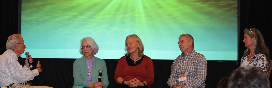 David Daniels, MD, co-founder of the enneagram professional training program, leads a panel in the narrative tradition.