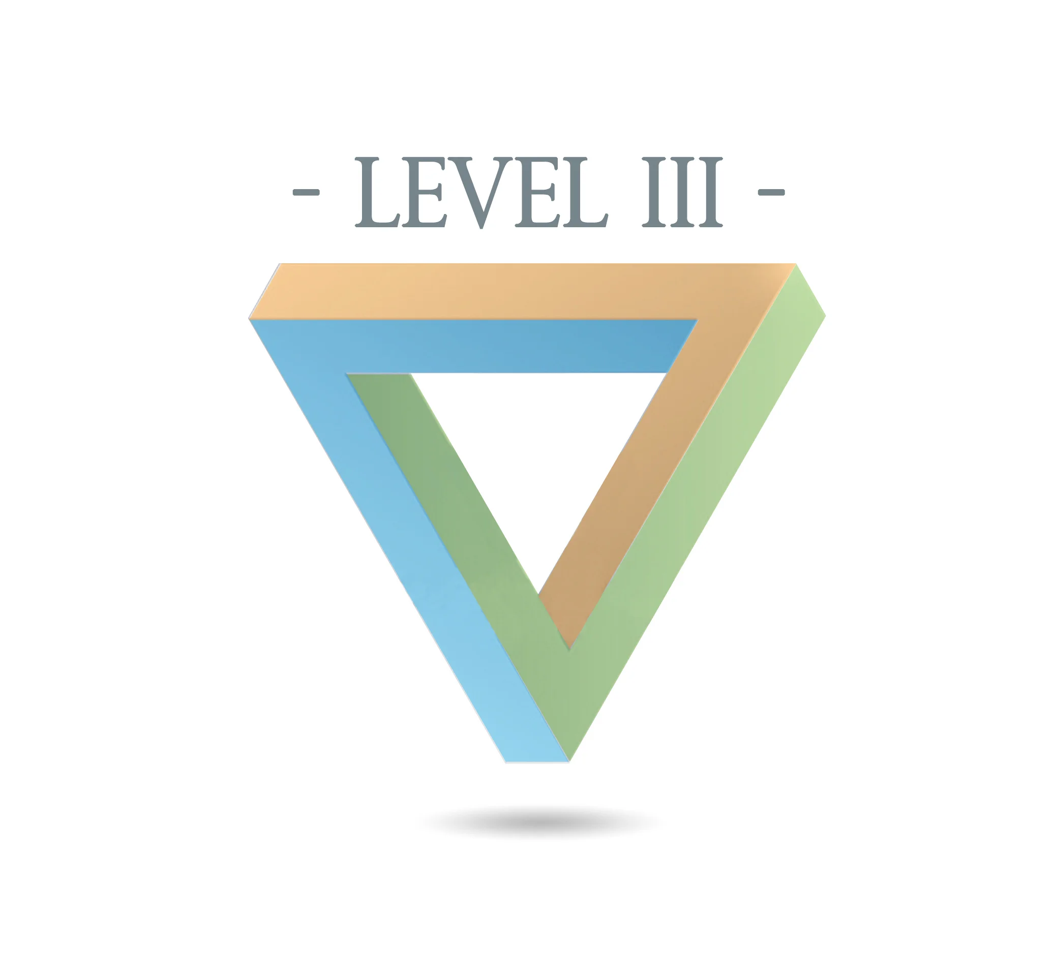 Level III icon.jpg
