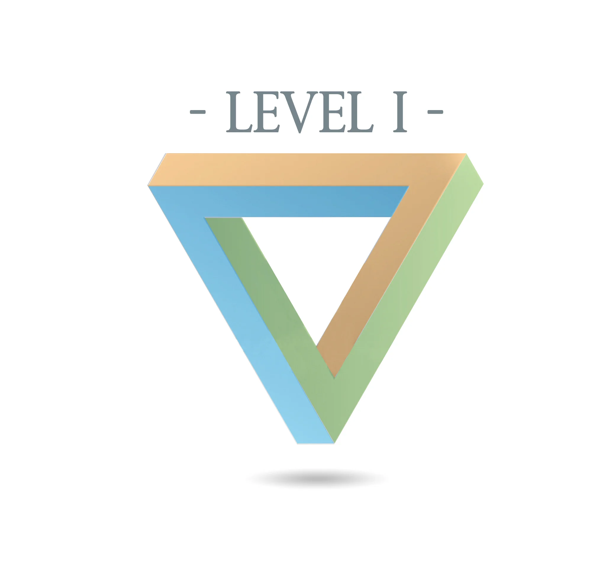 Level I