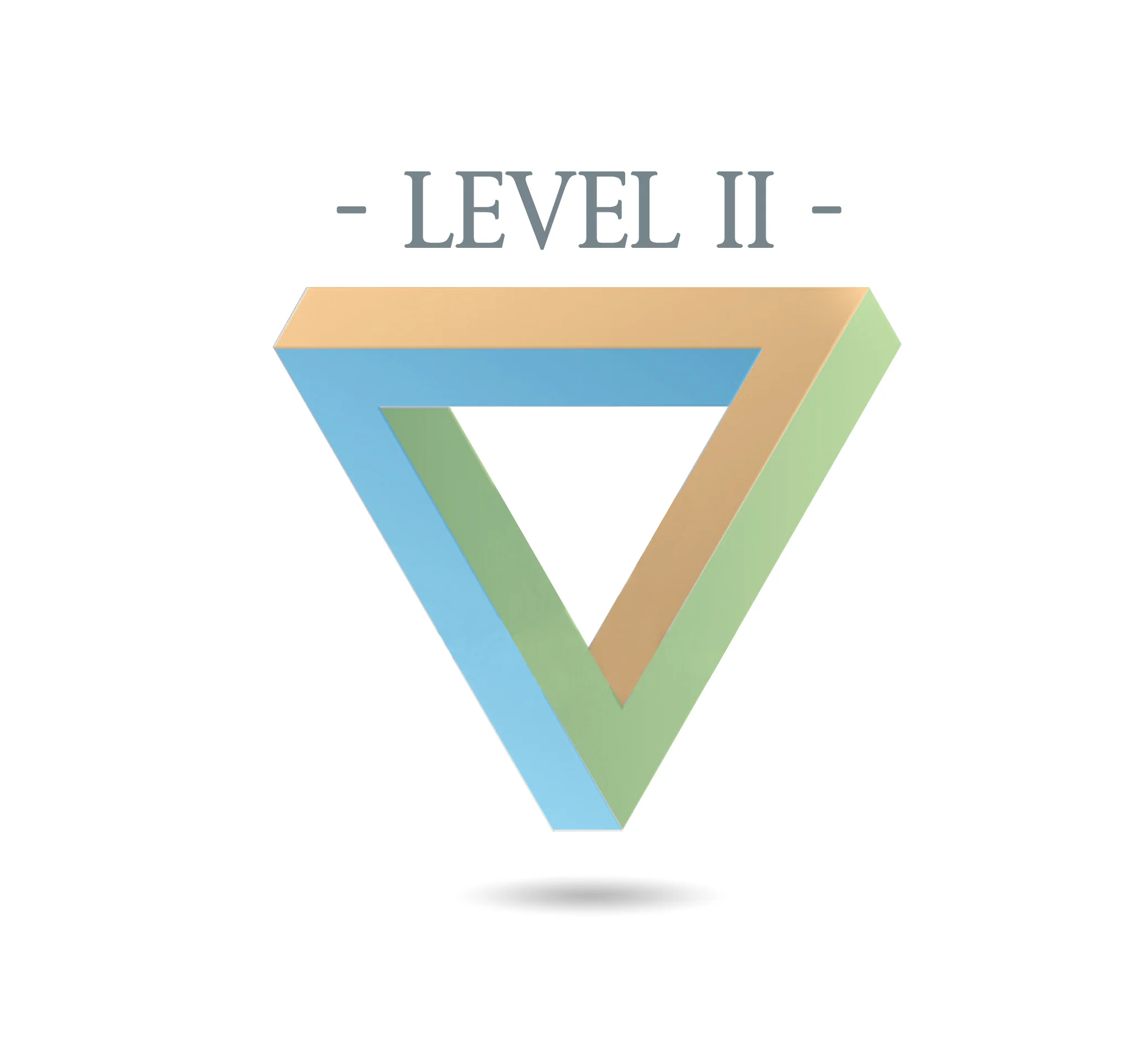 Level II