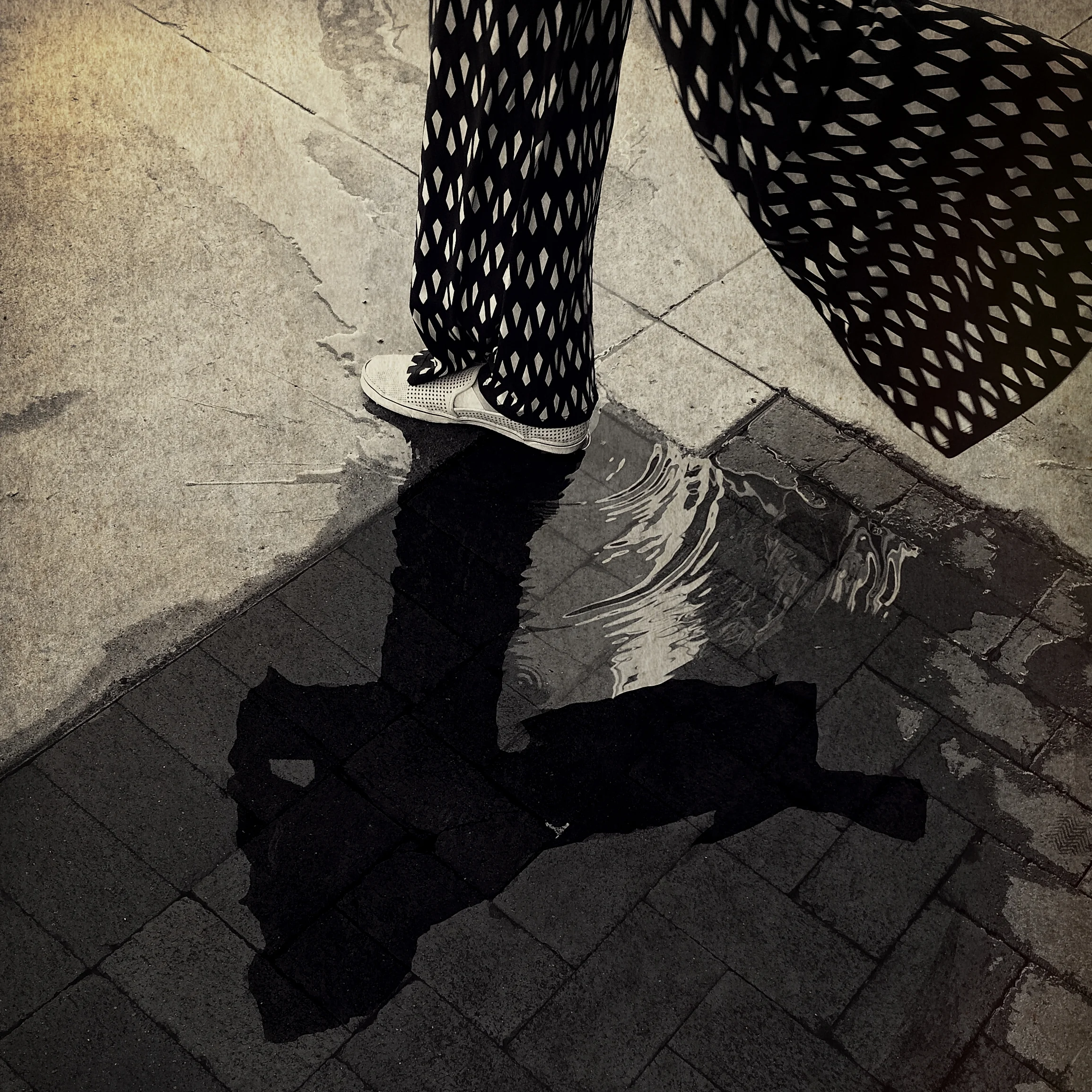 IMG_1026 copy effects2.jpg