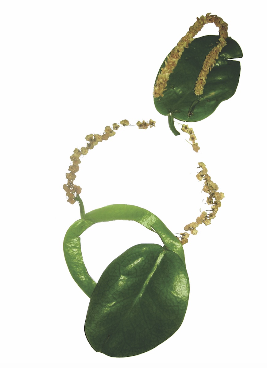 necklace4-off.jpg