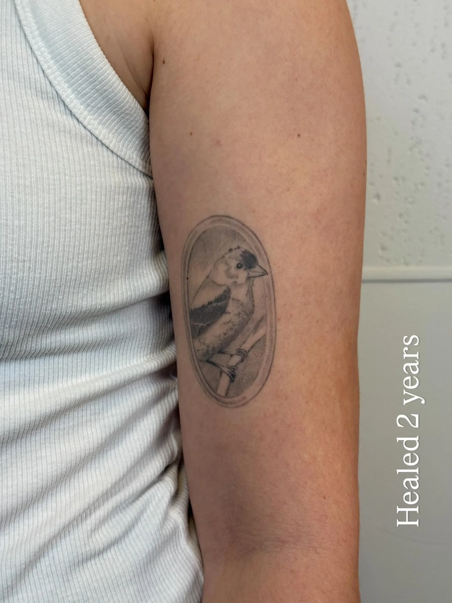 Edit: something weird happened with slide 10, my cousin Laura&rsquo;s rosemary and thyme. It&rsquo;s in my story highlight &ldquo;Healed 9&rdquo; not all bright and pixelated

All healed! These are just the ones I&rsquo;ve been able to photograph rec