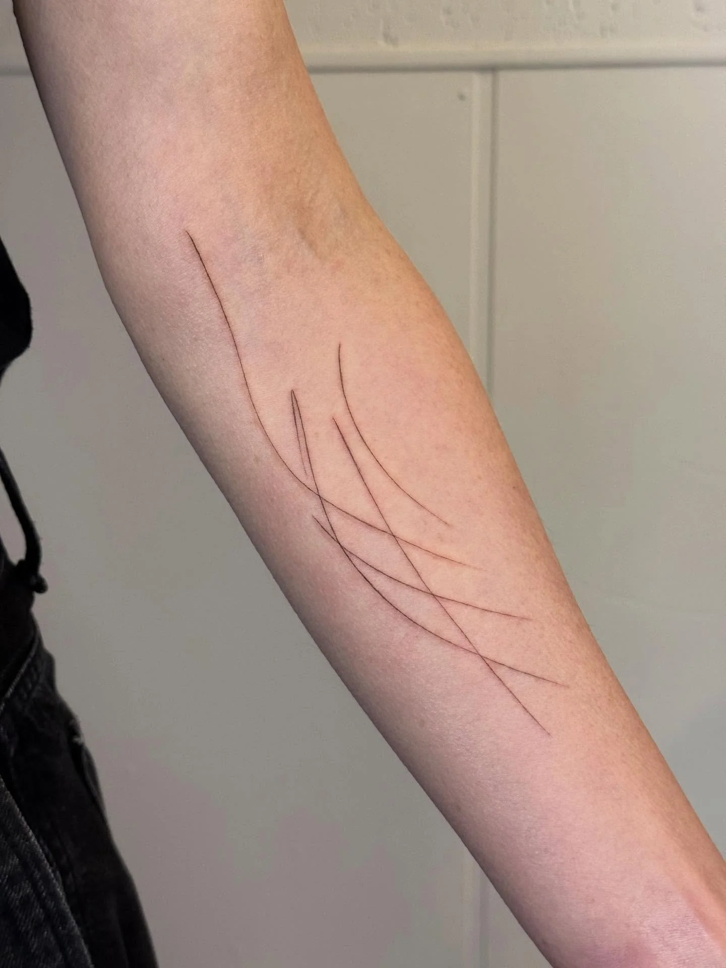 Cat scratches immortalized: my girlfriend&rsquo;s first tattoo! Thank you so much, Alexis, for the trust and for being a crazy cat parent with me. 

#nofilter #singleneedletattoo #singleneedletattoophiladelphia #finelinetattoo #finelinetattoophiladel