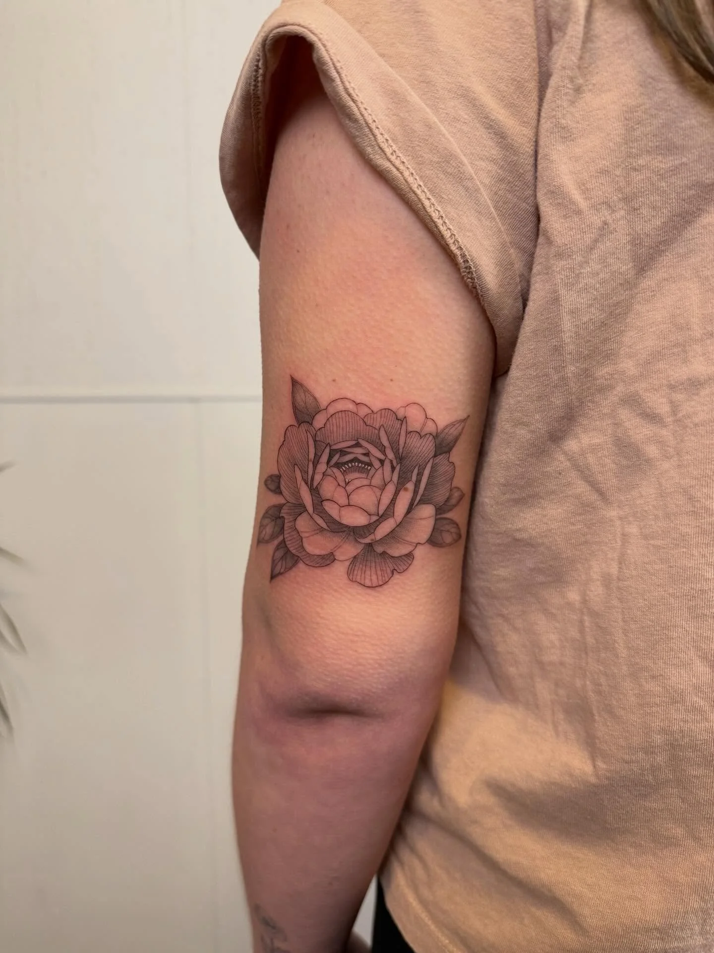 Thank you, Sam! 

#nofilter #justinturkustattoos #rabbitear #philadelphia #finelinetattoophiladelphia