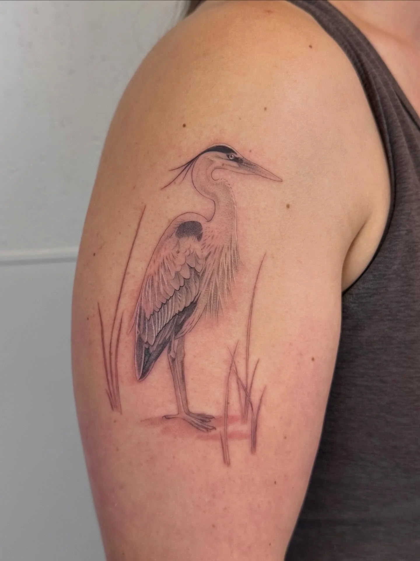 Great blue heron. Thank you, Julie! 

#nofilter #finelinetattoophiladelphia #philadelphiatattooartist #philadelphia