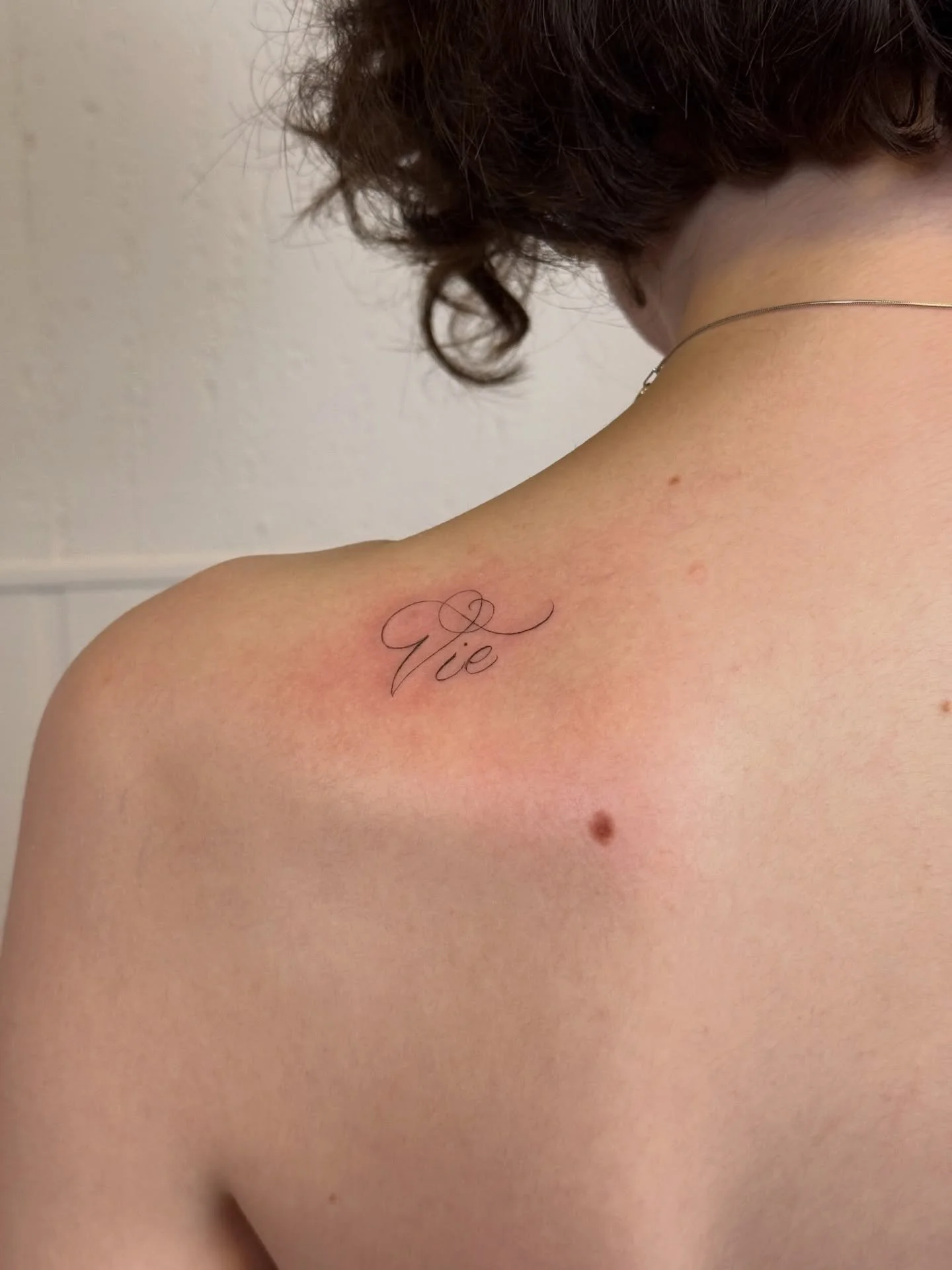 &ldquo;Vie&rdquo; (French for &ldquo;life&rdquo;) 

Thank you, Jenna!

#nofilter #customscript #handdrawnscript #finelinescriptphiladelphia #finelinetattoophiladelphia