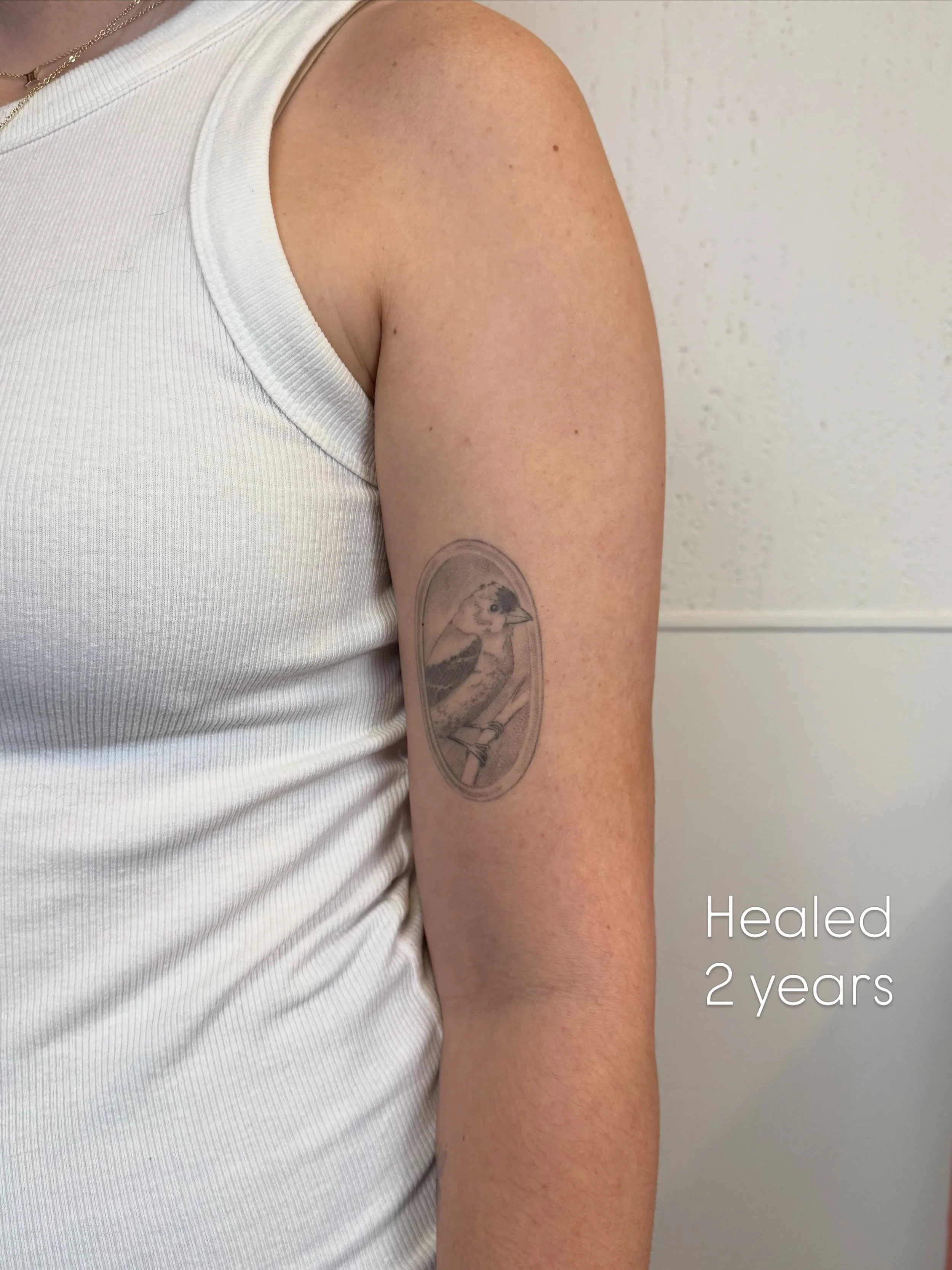 Goldfinch healed 2 years 
Circe healed 1 and a half years 
Fresh &ldquo;try try try&rdquo; tightrope walker 
Thank you, Amy!