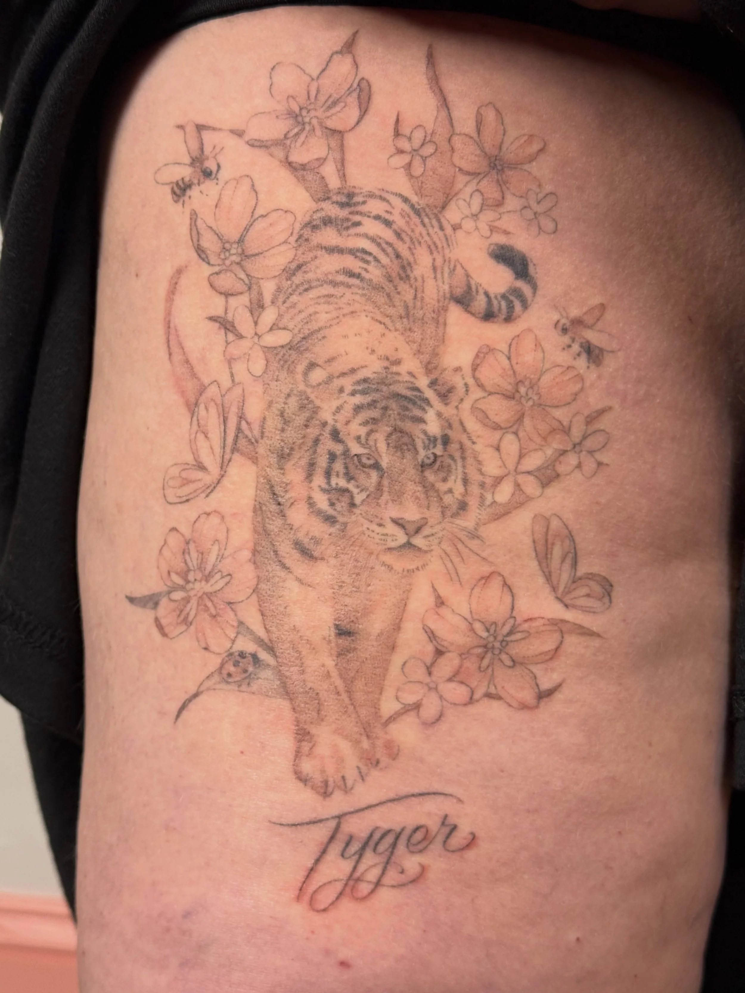 Thank you, Michele! 

We made this tattoo in two sessions. The lines are healed (all single needle), the shading is fresh (all 3rl). 

My books open for new appointment requests November 1-3

Thanks for looking! 

#nofilter #rabbitear #philadelphia #