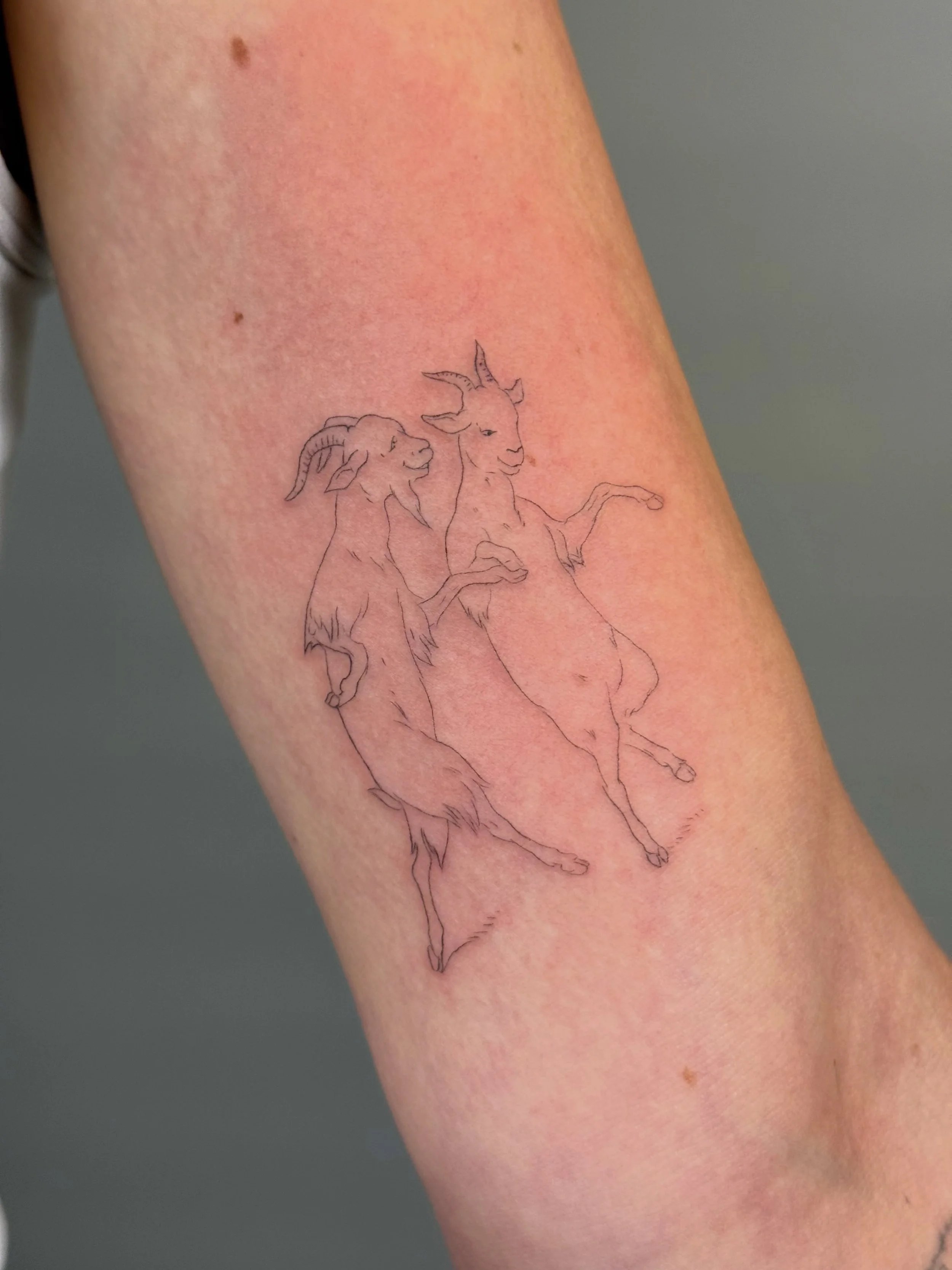 Hey everyone for just three days, November 1-3, I will open up the appointment request form on my website, and I&rsquo;ll be selecting tattoo projects for the first half of 2027. I know every tattoo artist has a different system for scheduling, so if